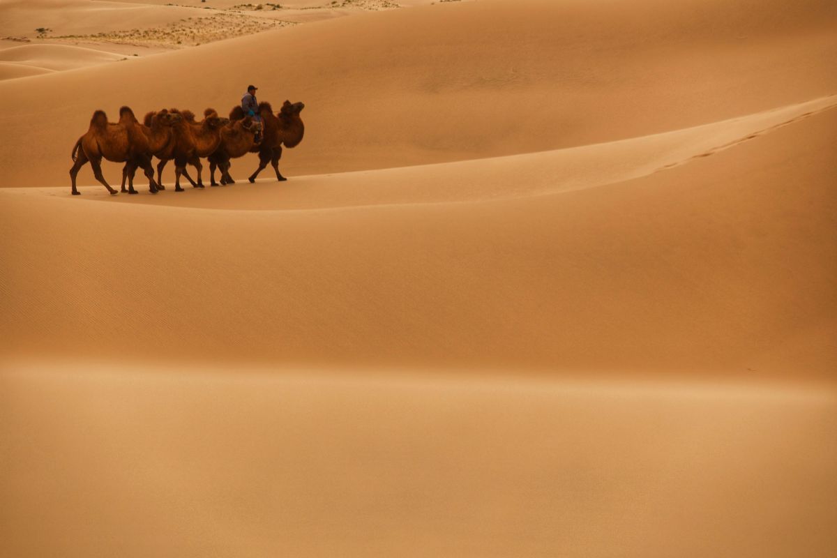 1200x800 Wo liegt die Wüste Gobi