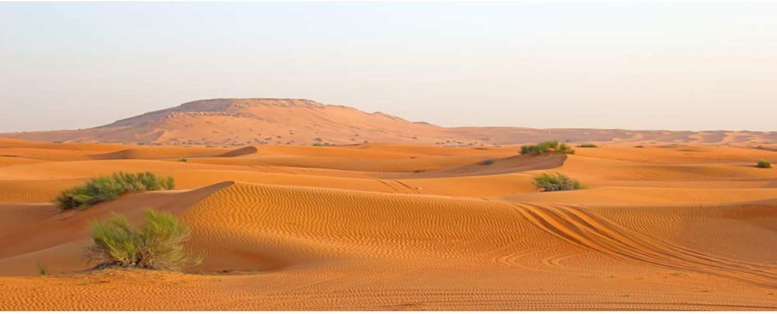 2469x1000 AOFOTO 20x10ft Sahara Gobi Yellow Sand