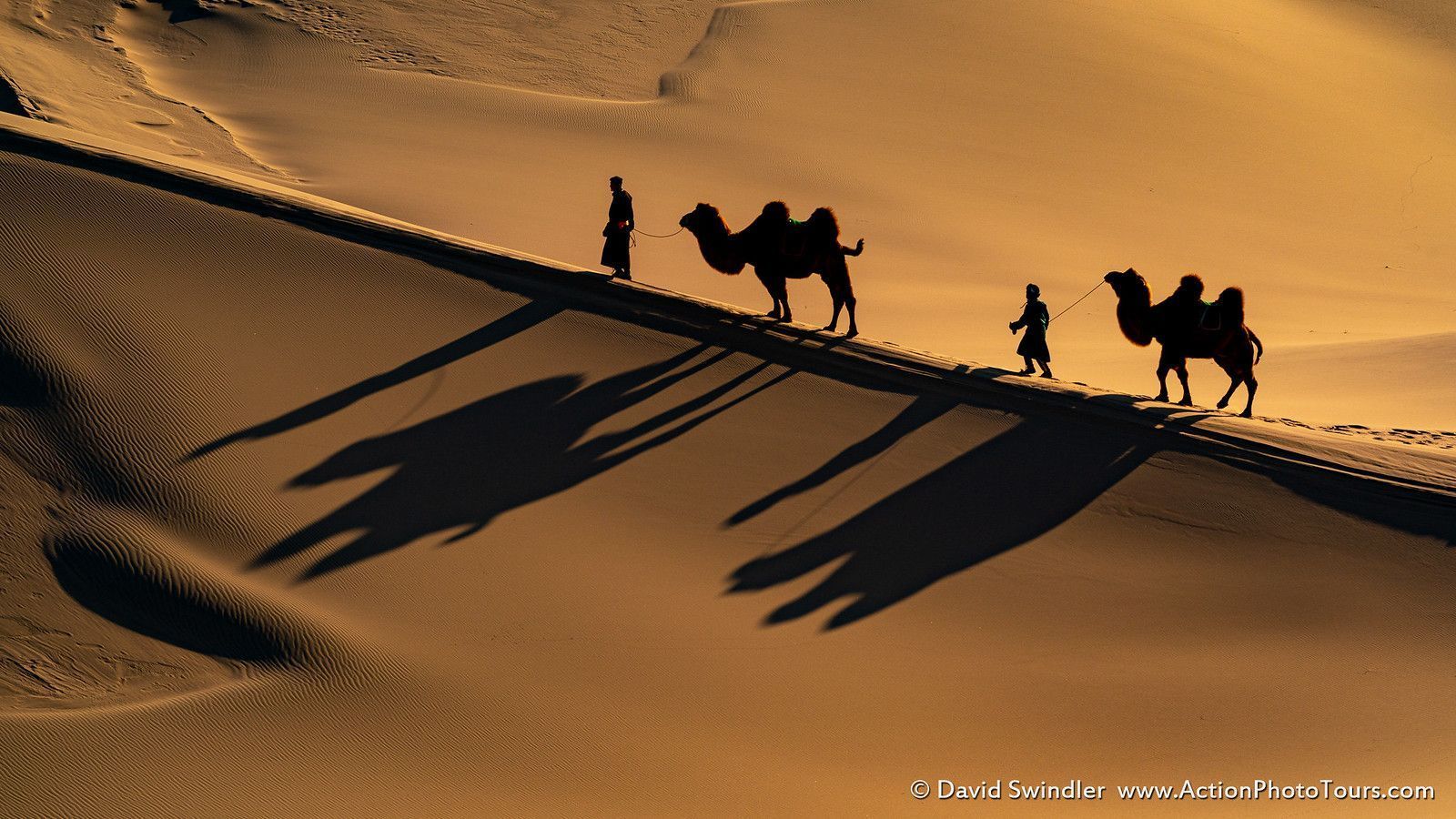 1600x900 Camel Shadows. I hope all of you are