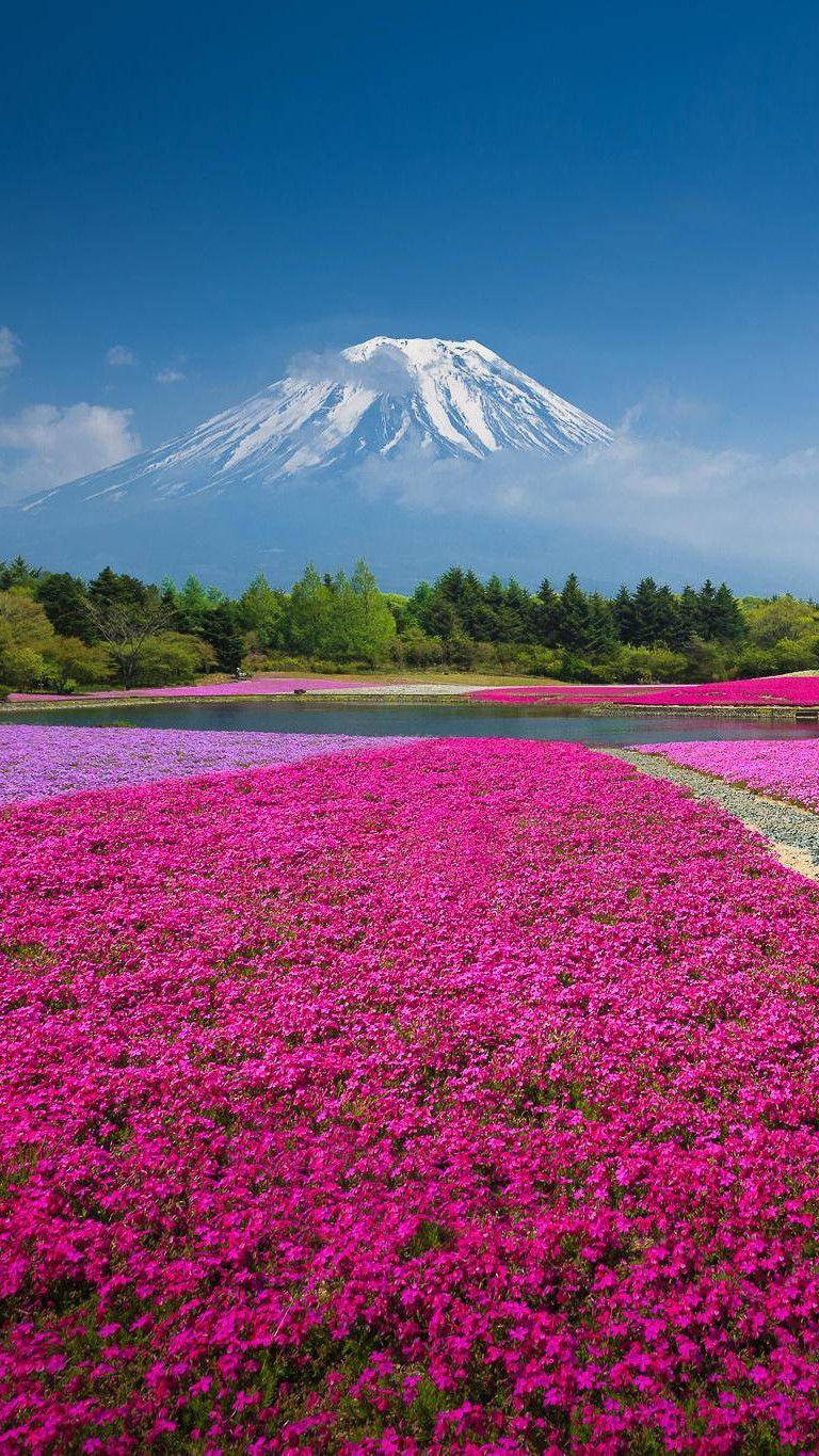 768x1365 Mt Fuji, Japan. Smart Phone Wallpaper