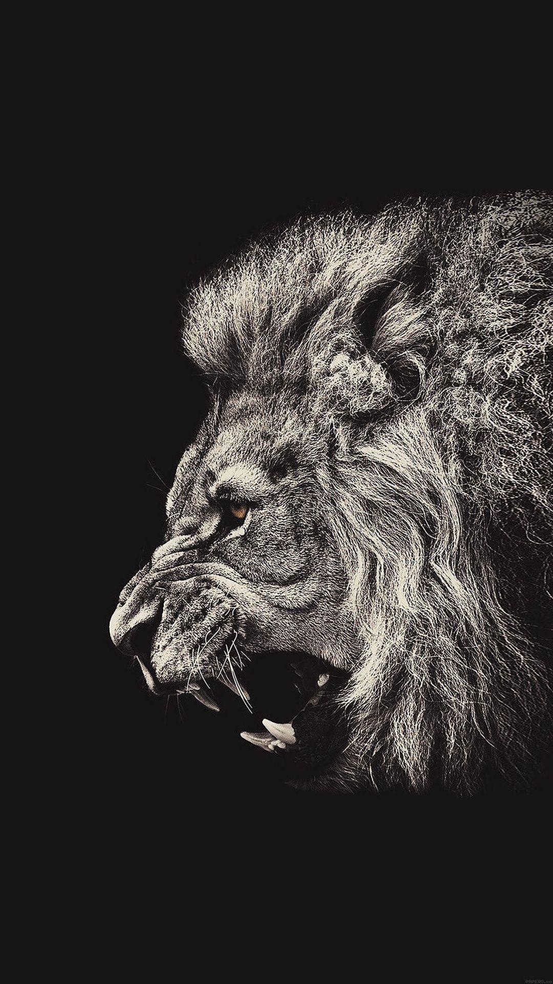 1080x1920 Wallpaper Weekends: Lions and Tigers Bears, But Oh My!