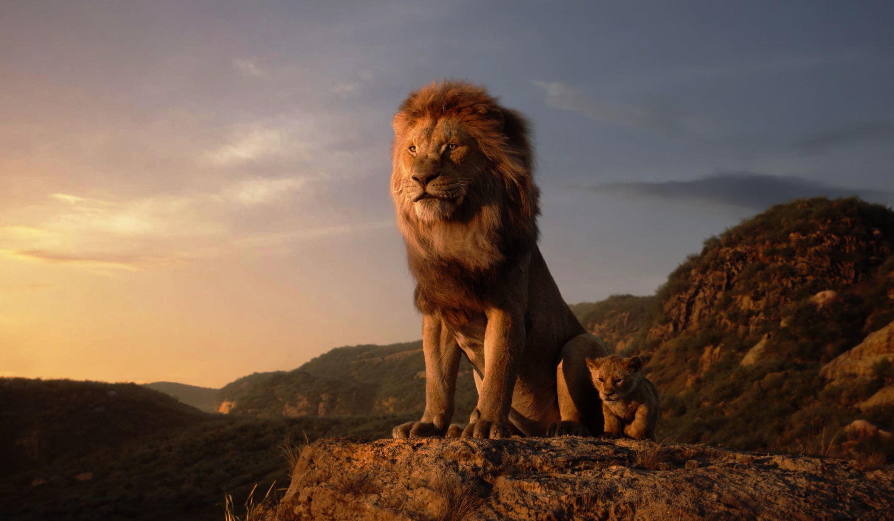 3000x1749 The Lion King Wallpaper, HD Movies 4K Wallpaper, Image