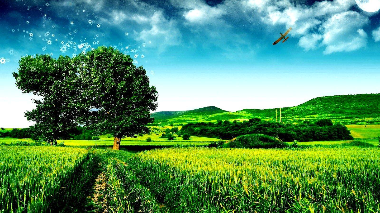 Green Nature Wallpapers - Top Free Green Nature Backgrounds