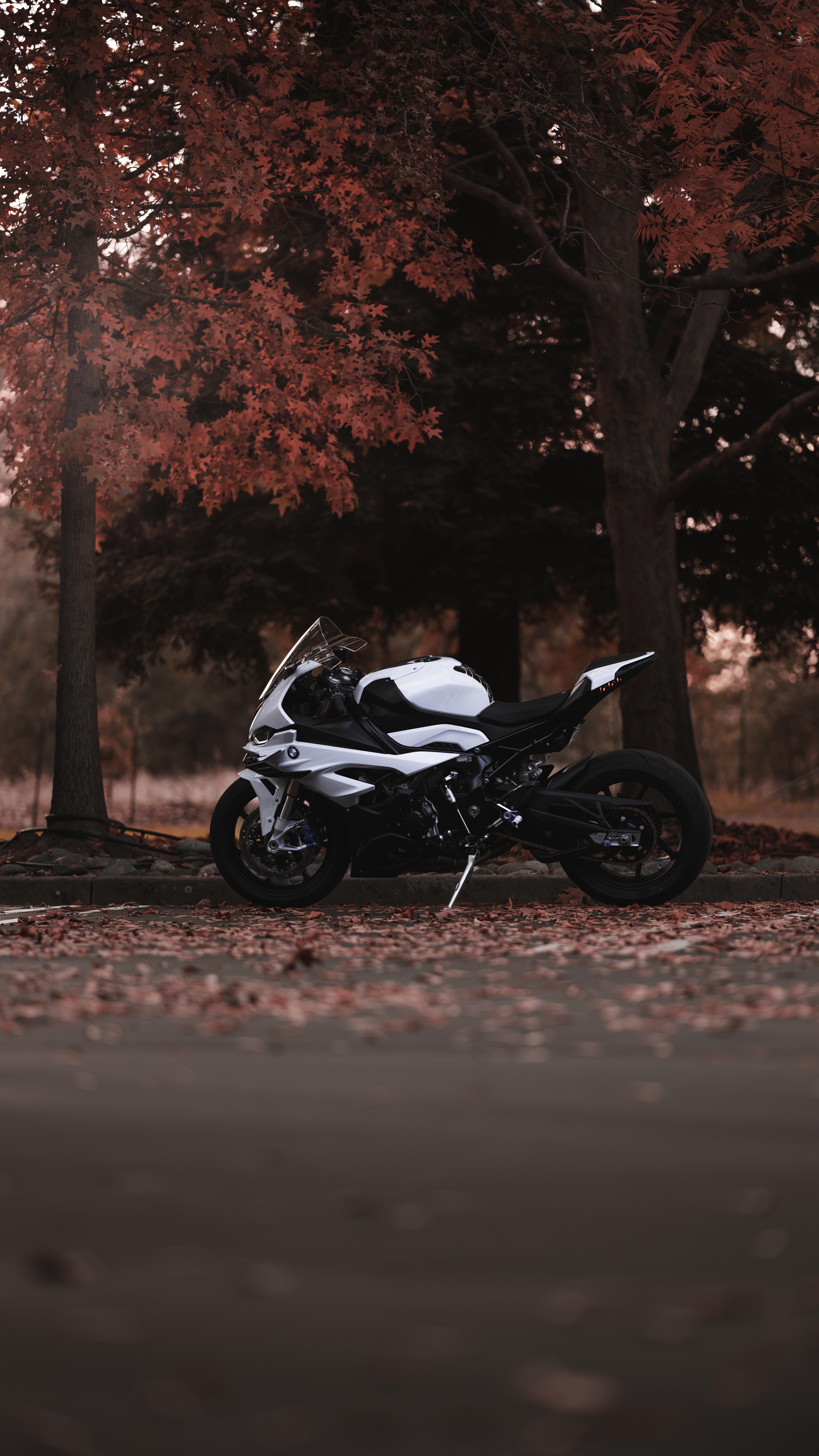 5307x9434 my bikes for phone wallpaper