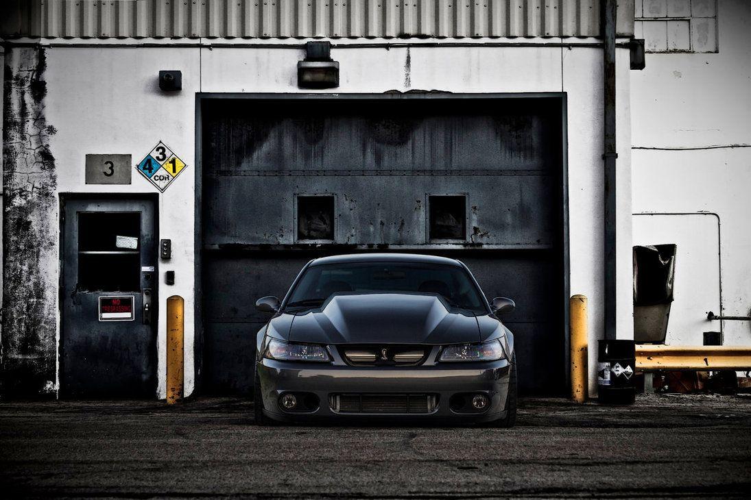 1095x730 Free download SVT Cobra 2 Desktop and mobile wallpaper