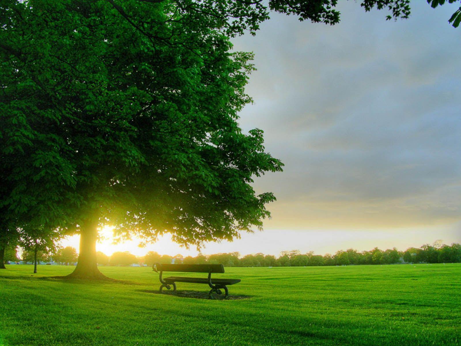 1600x1200 Green Nature Wallpaper Collection For Free Download