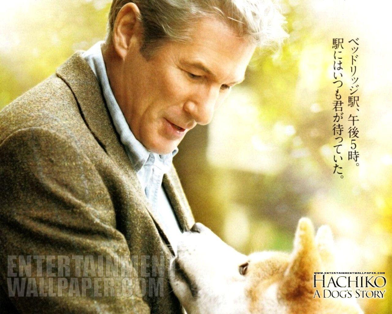 1280x1024 Dogs Arctic Fox Foxes Hachiko Dog Wallpaper Dogs for HD