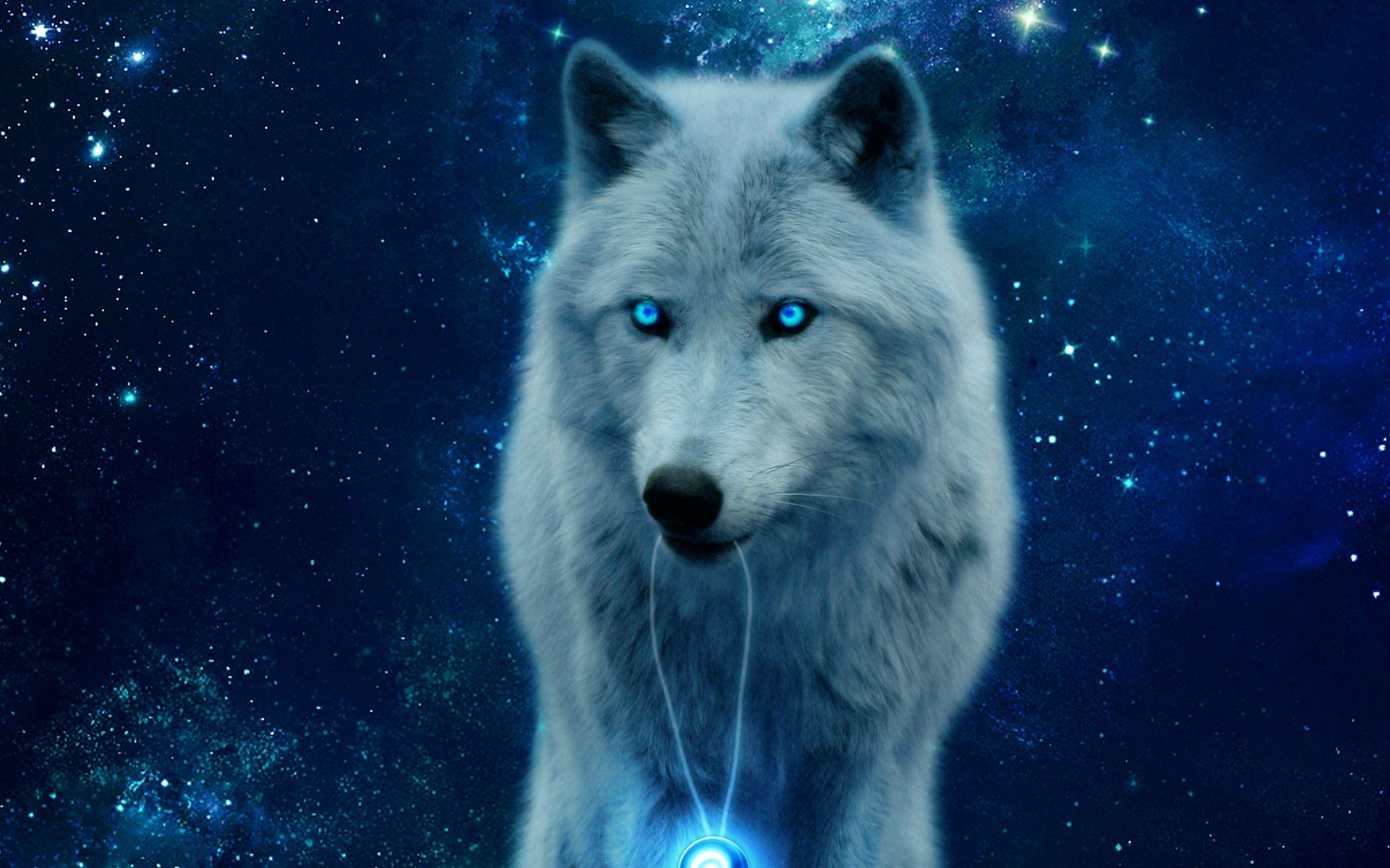 2560x1600 Digital Art, Art, Arctic Wolf, Canis Lupus Tundrarum, Dog