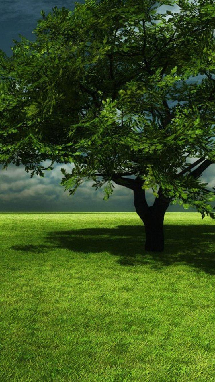 750x1334 Nice Green Tree iPhone 6s Wallpaper HD