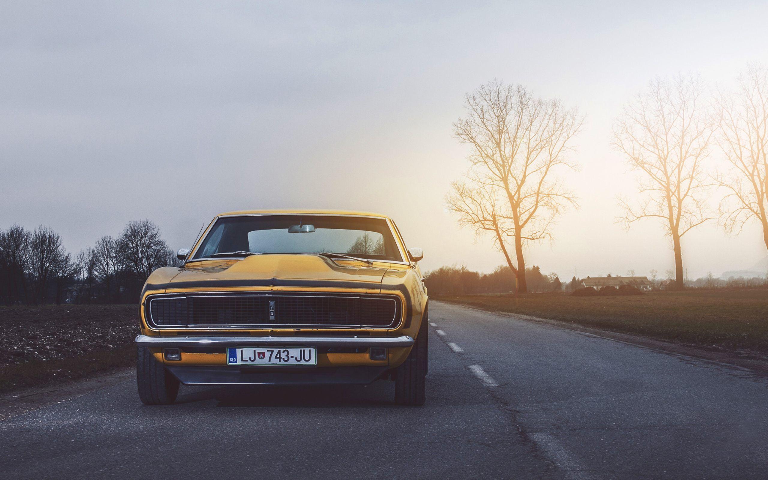 2560x1600 Chevrolet Camaro SS 1969 Wallpaper HD