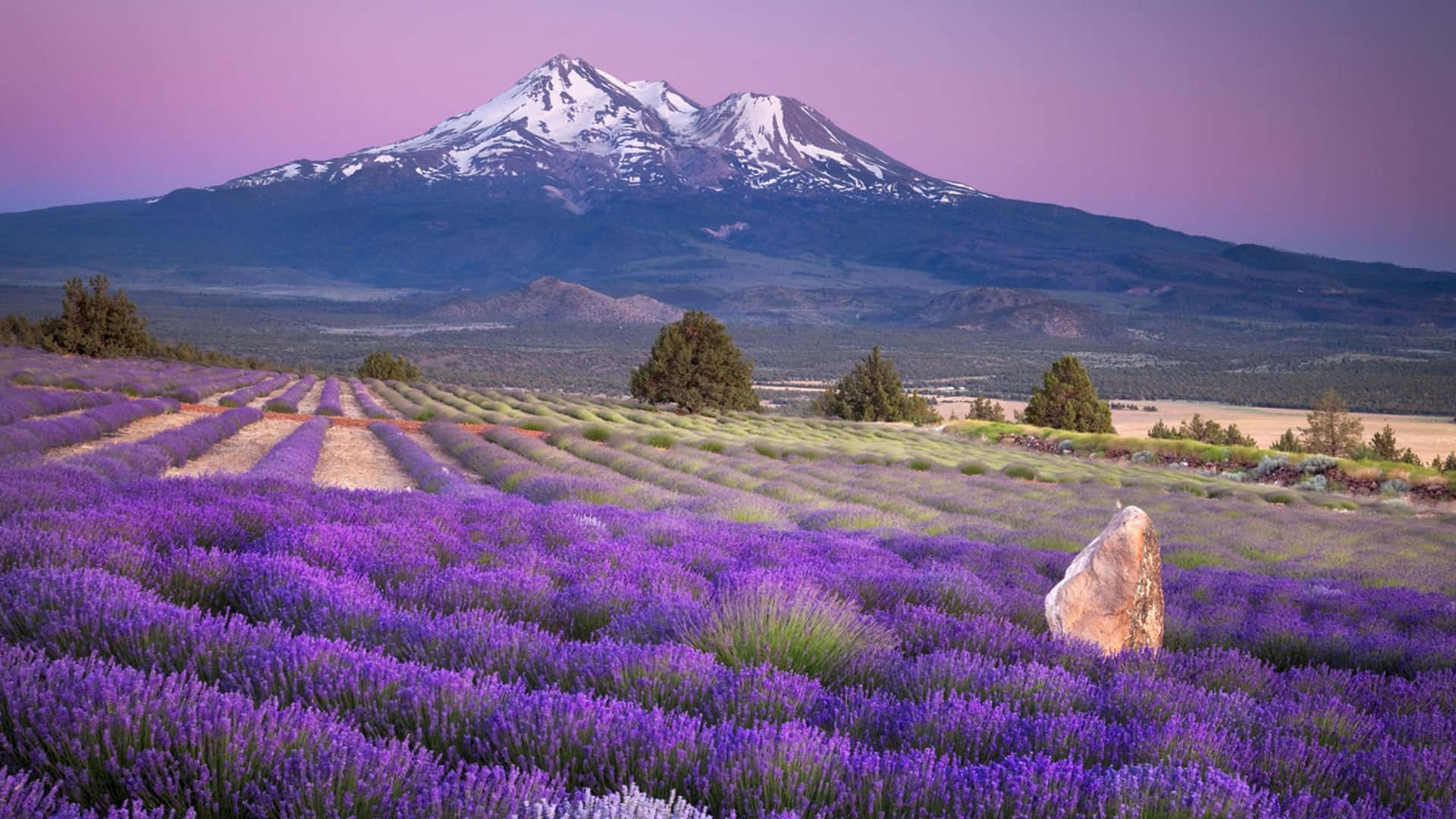1920x1080 Download Beautiful Scenery Desktop