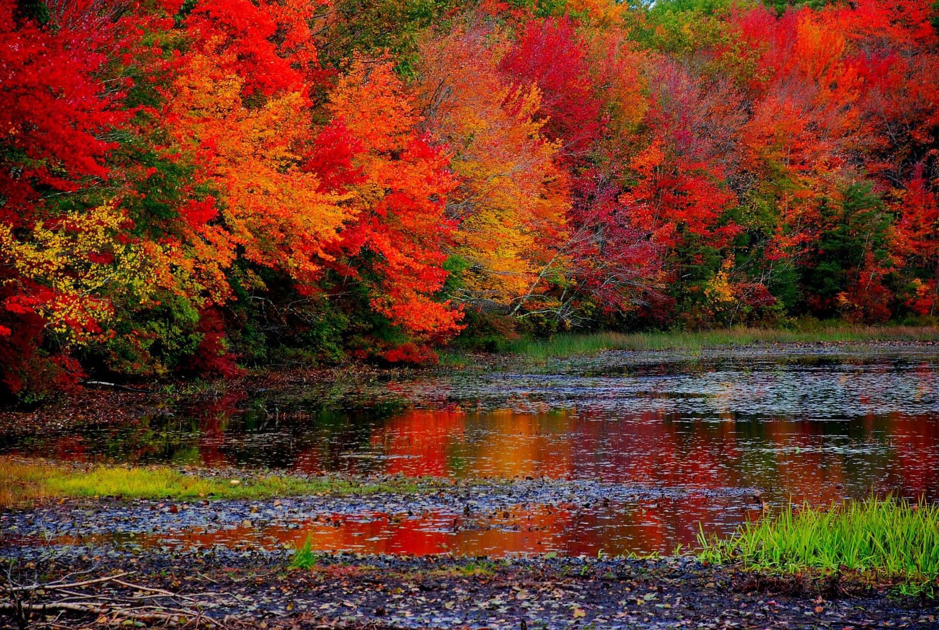 1920x1289 Fall Mount Shasta California Wallpaper