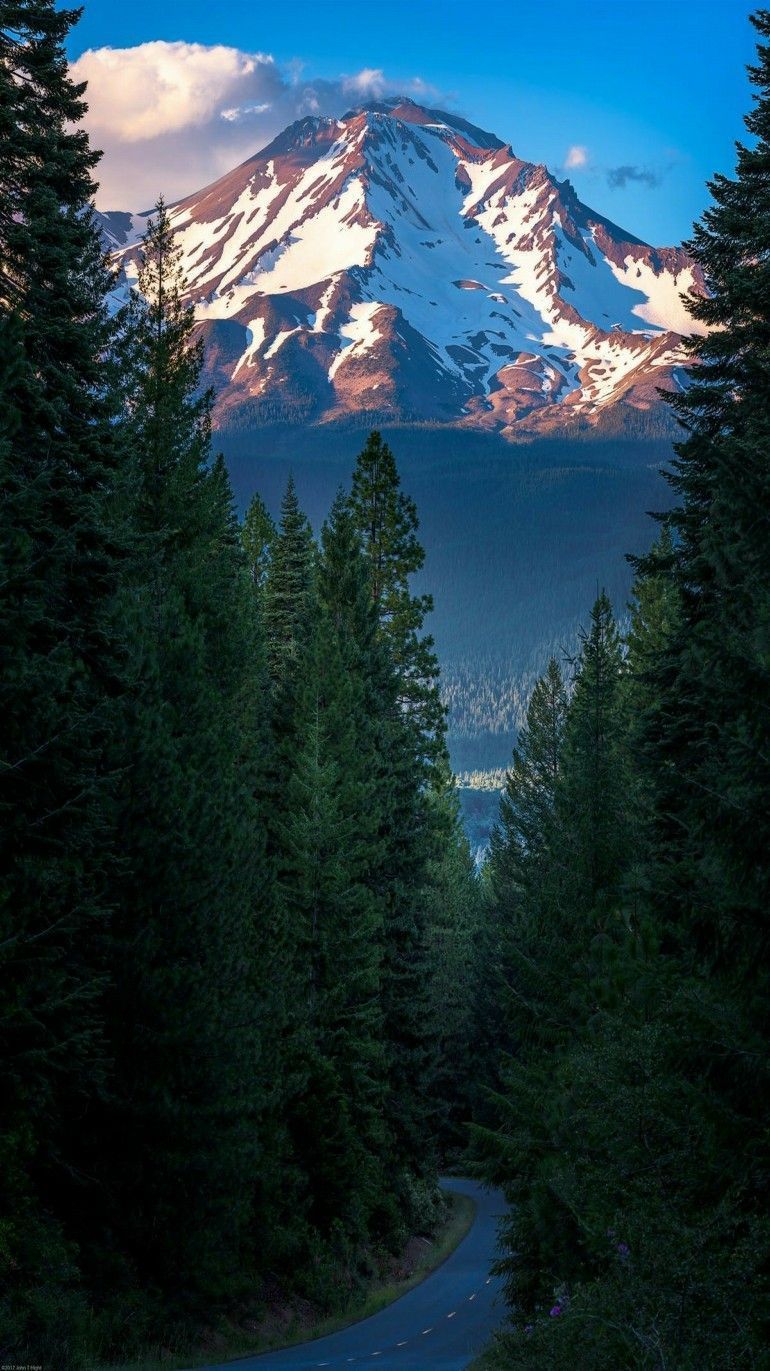 770x1371 Pin page
