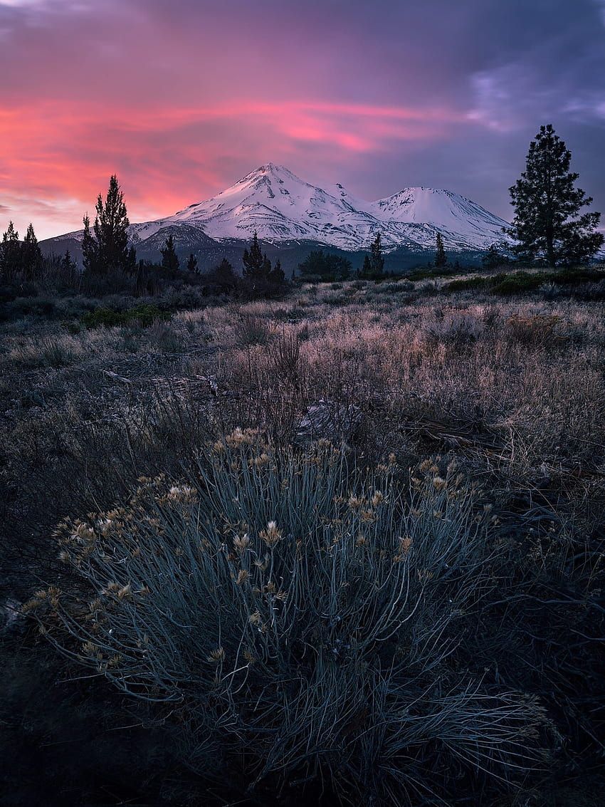 850x1133 Mt. Shasta CA winter sunrise. OC
