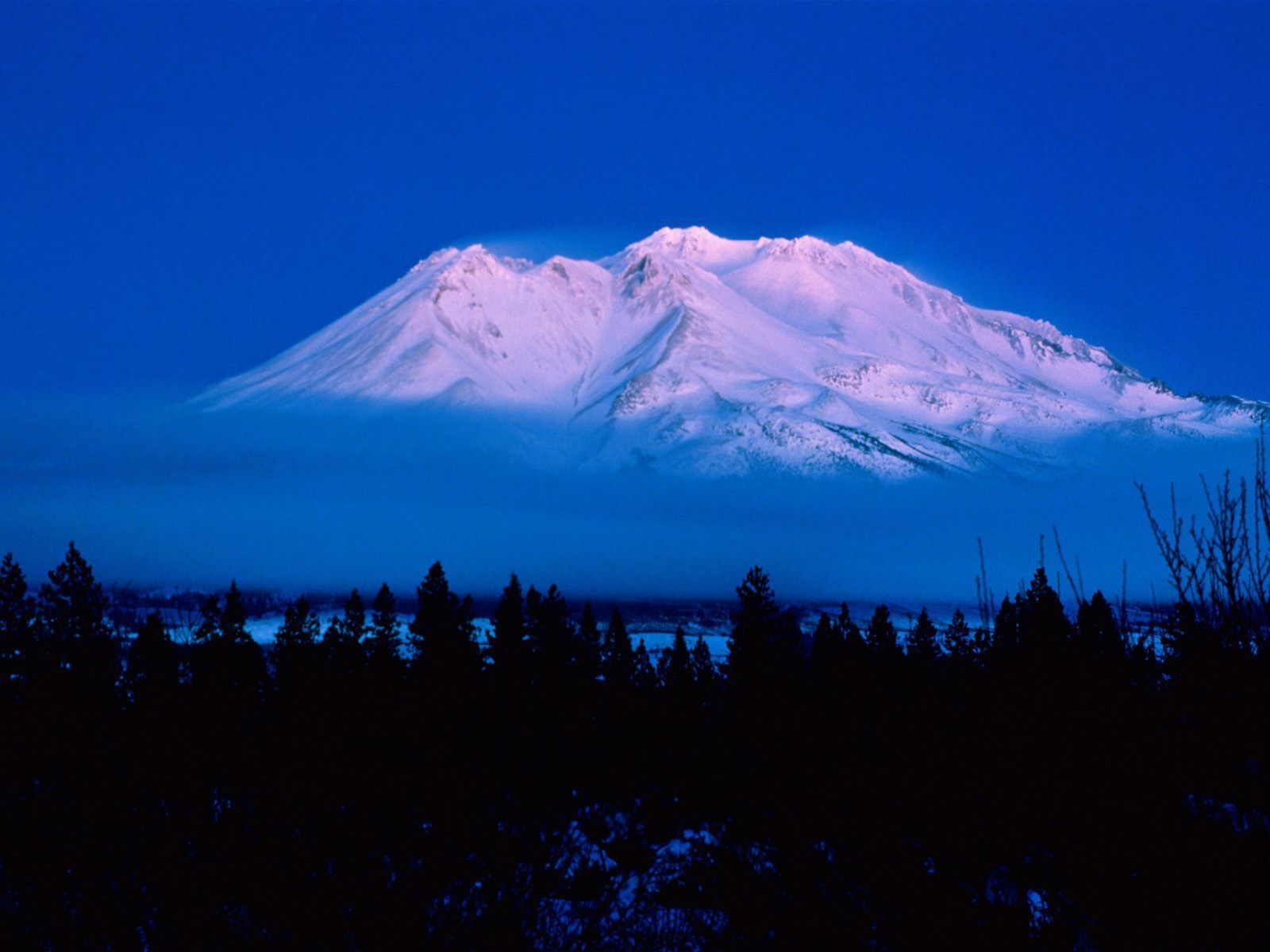 1600x1200 Mt. Shasta Area Fire Safe Council. FSC