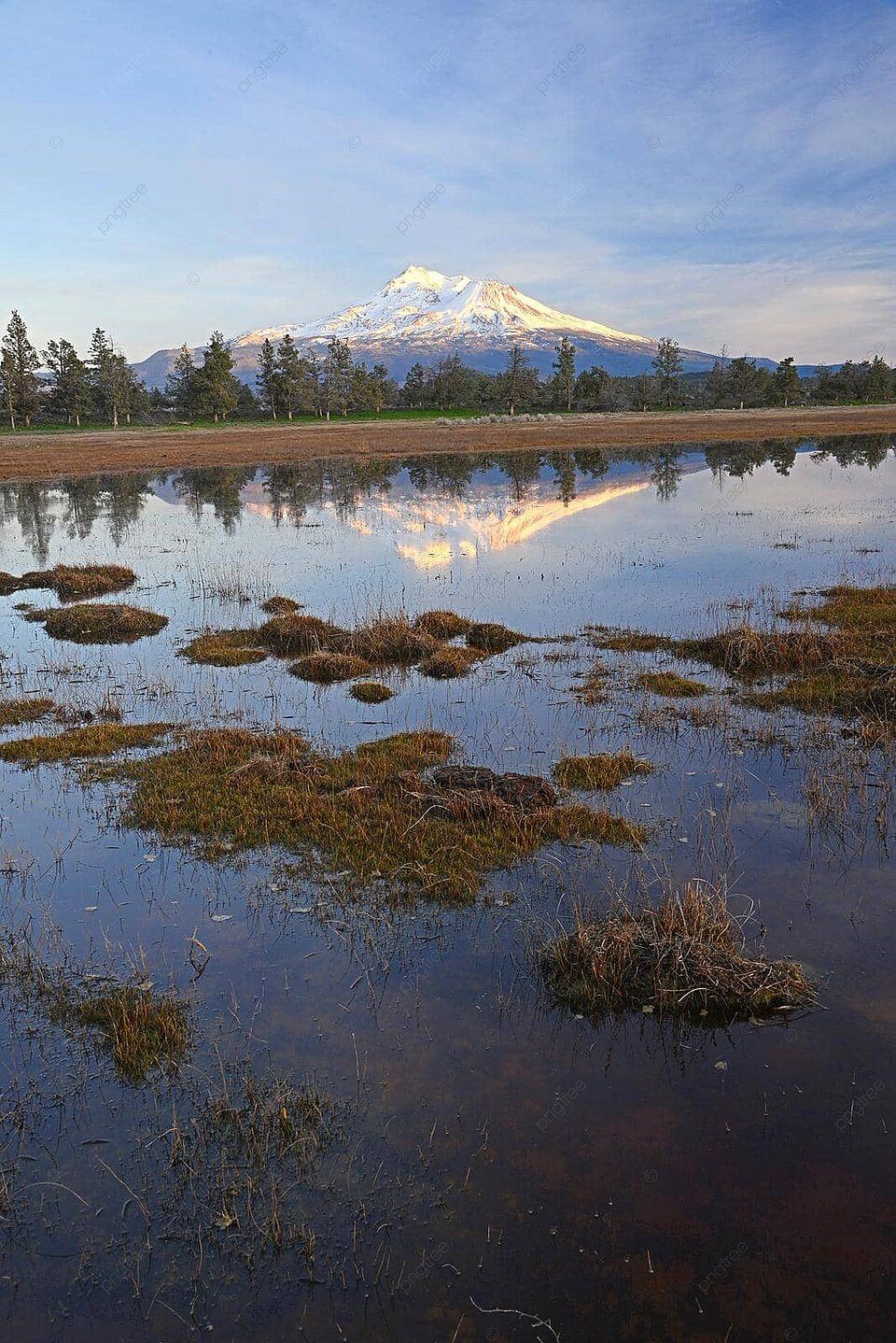960x1438 Mount Shasta Northern Sky Grass Photo