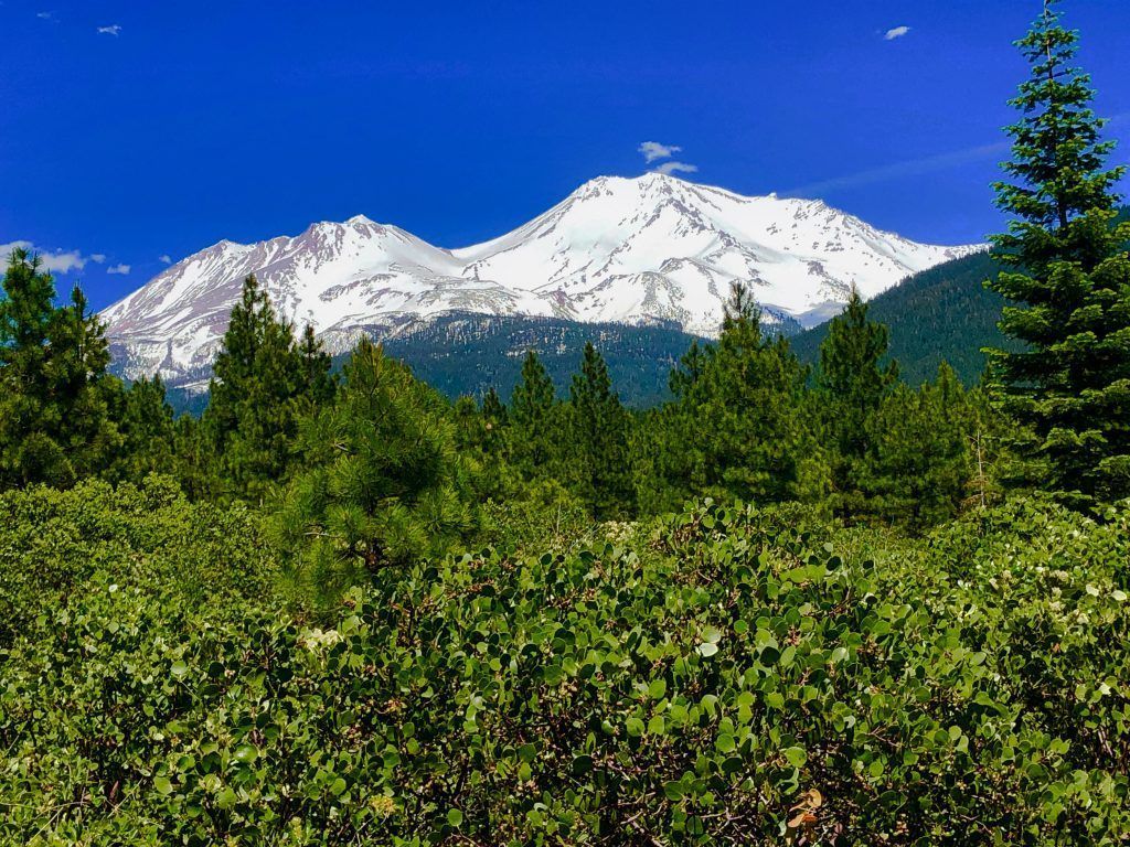 1024x768 Mount Shasta Regional Outventures
