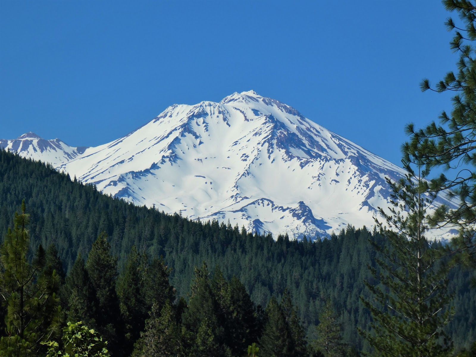 1600x1200 Cascadia: The Southern Sentinel, Mt. Shasta