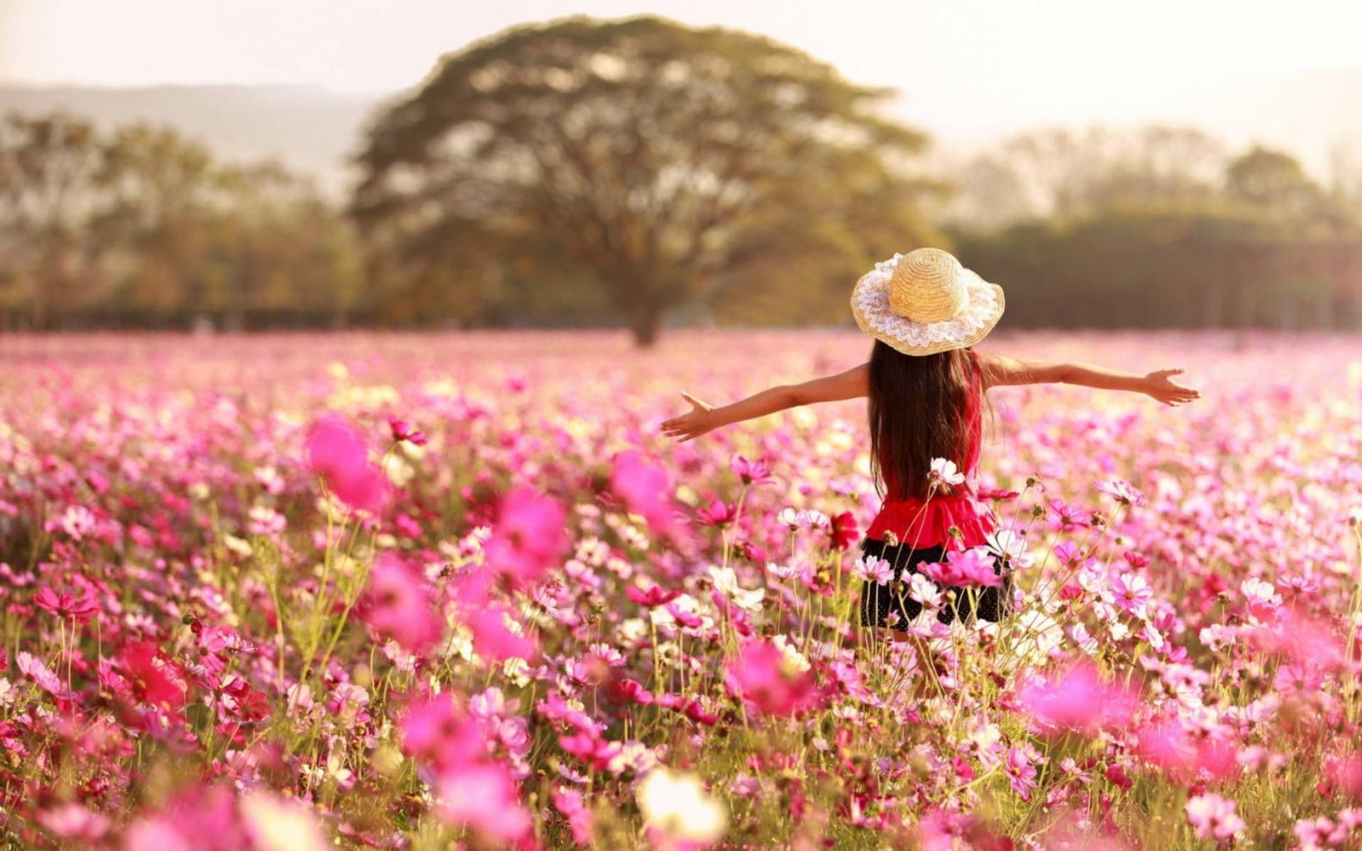 1920x1200 Download free Single Flower Girl