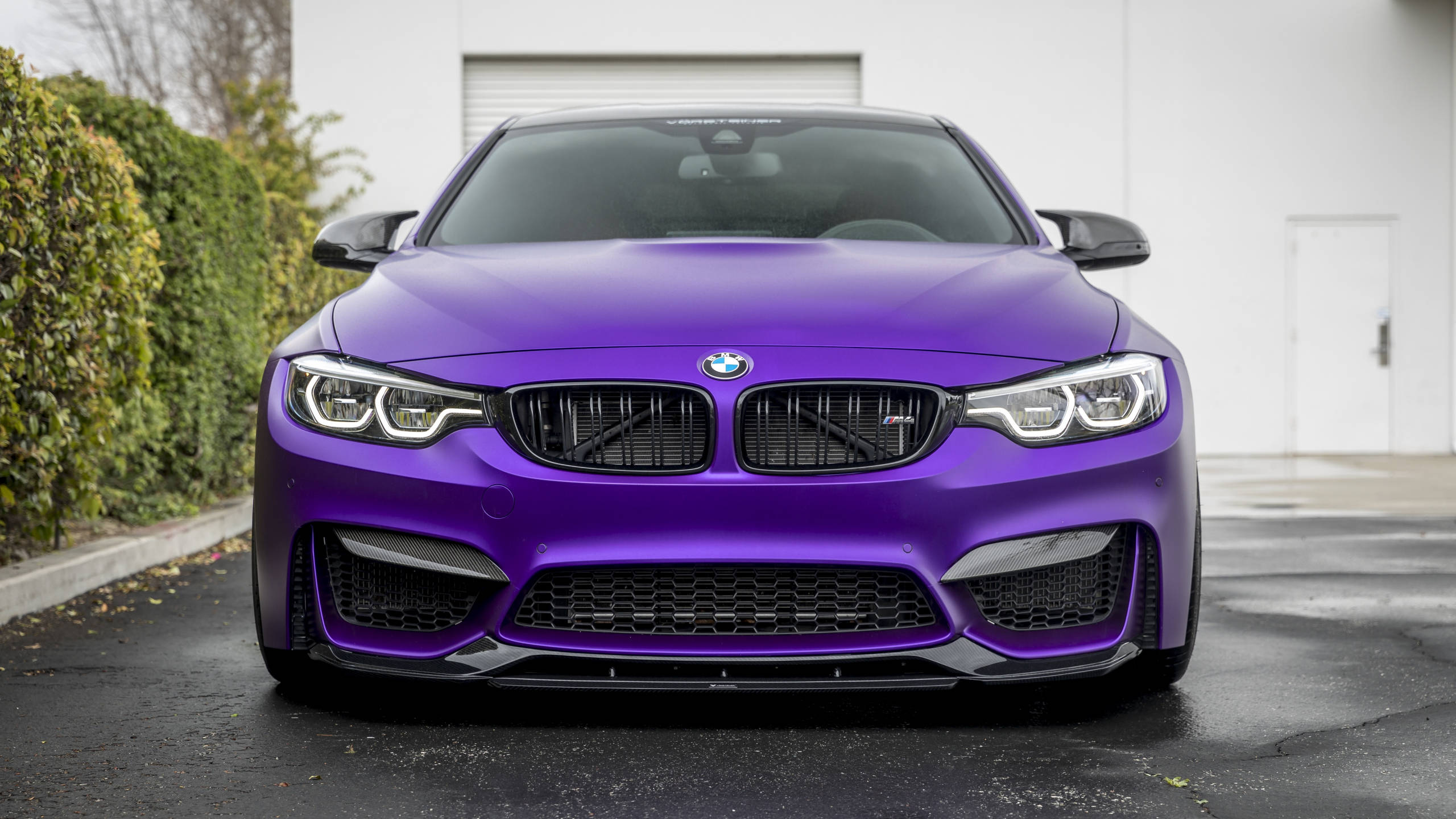 2560x1440 Violet Vorsteiner Full HD BMW Wallpaper