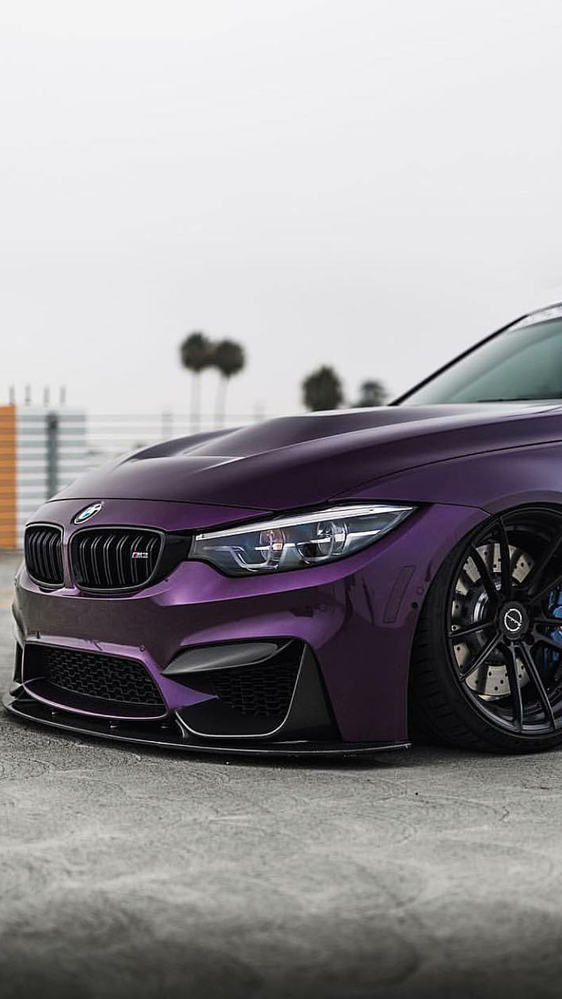 800x1422 HD german beasts wallpaper