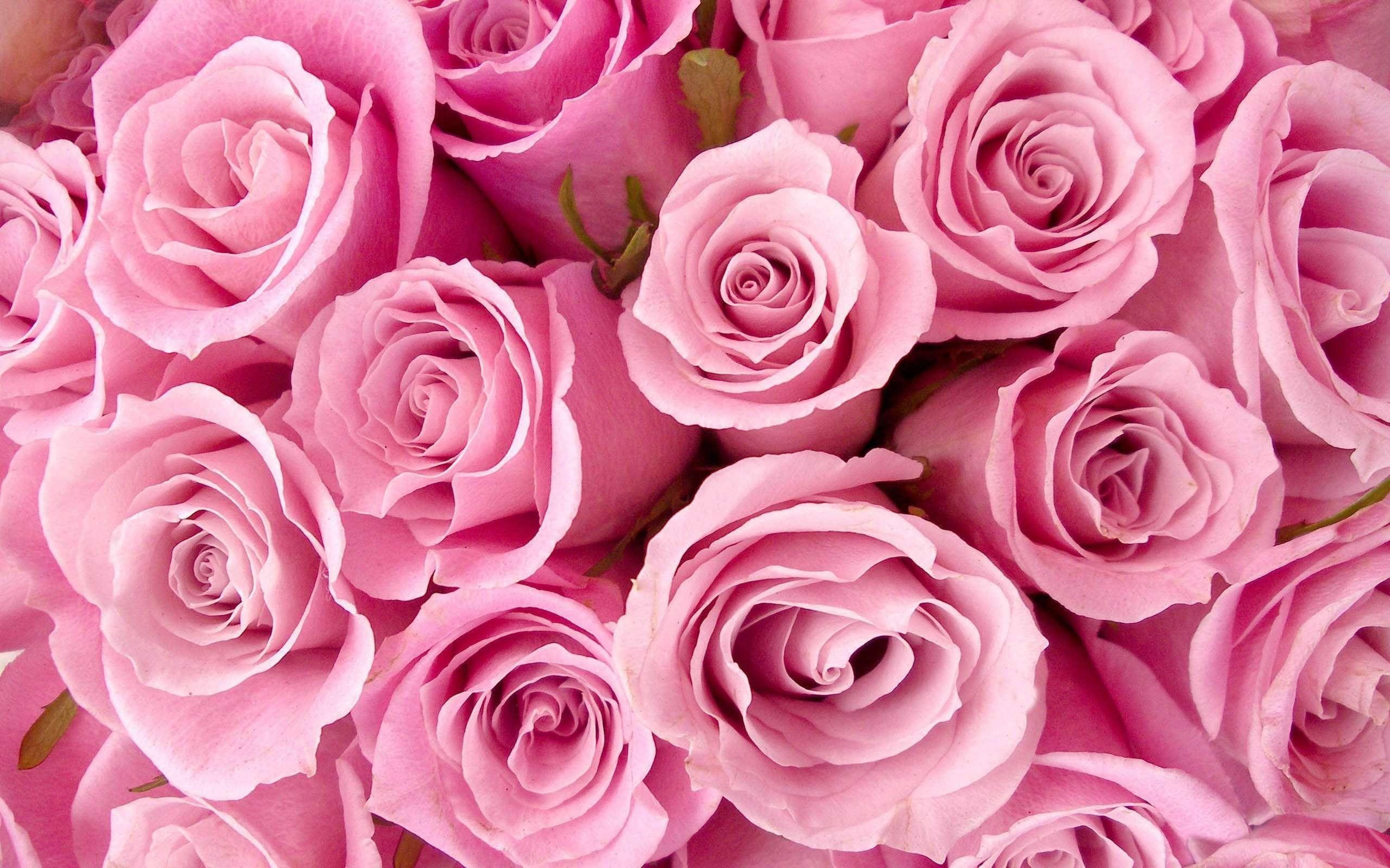 2560x1600 Unique Cute Girly Wallpaper For Android