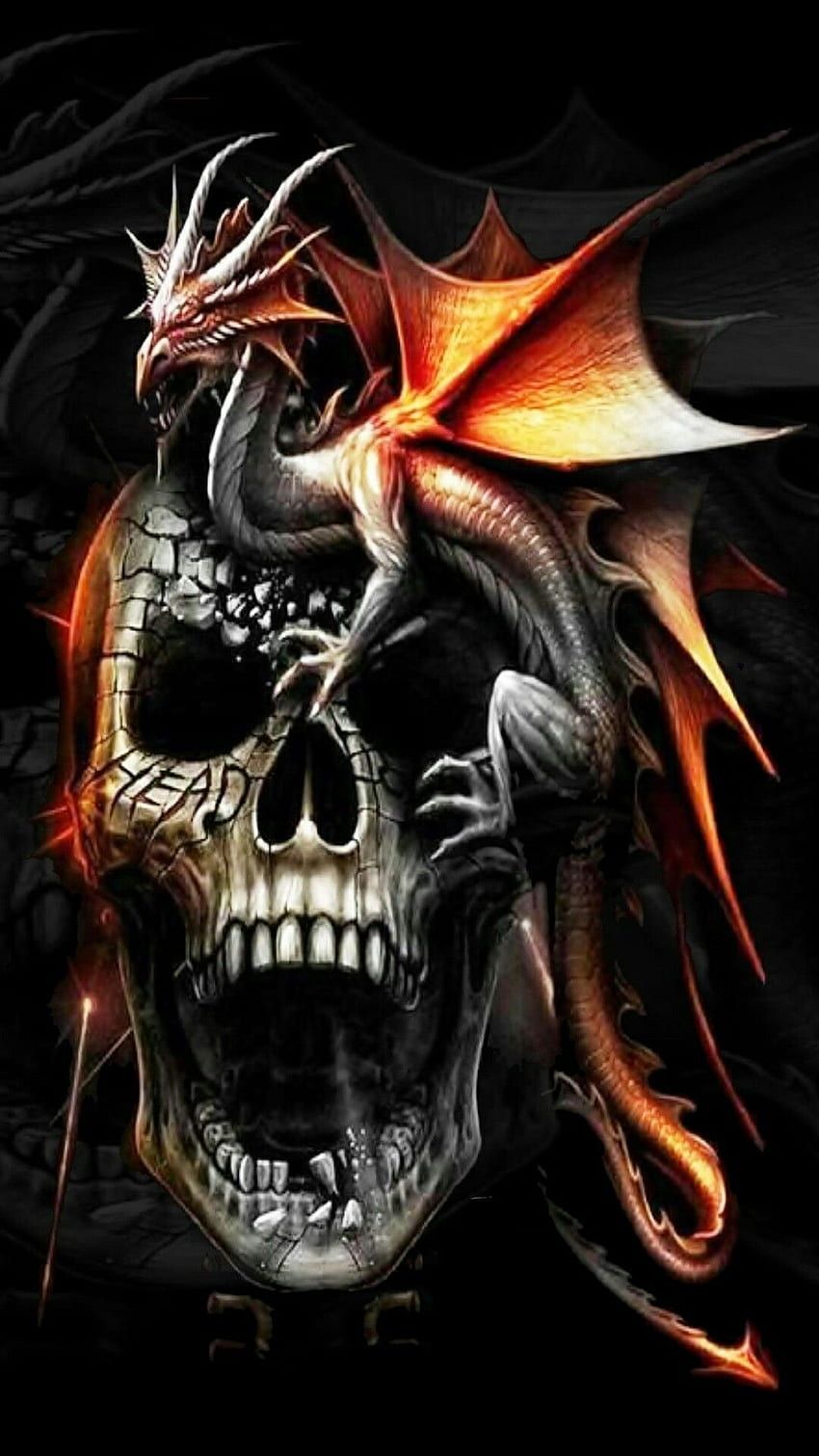 850x1511 Dragon skull. Skull, Skull art, Dragon