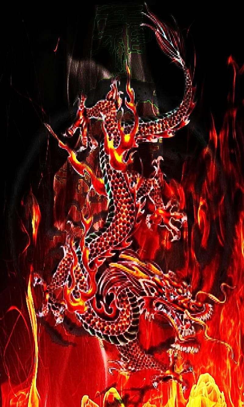 800x1333 dragon skull wallpaper