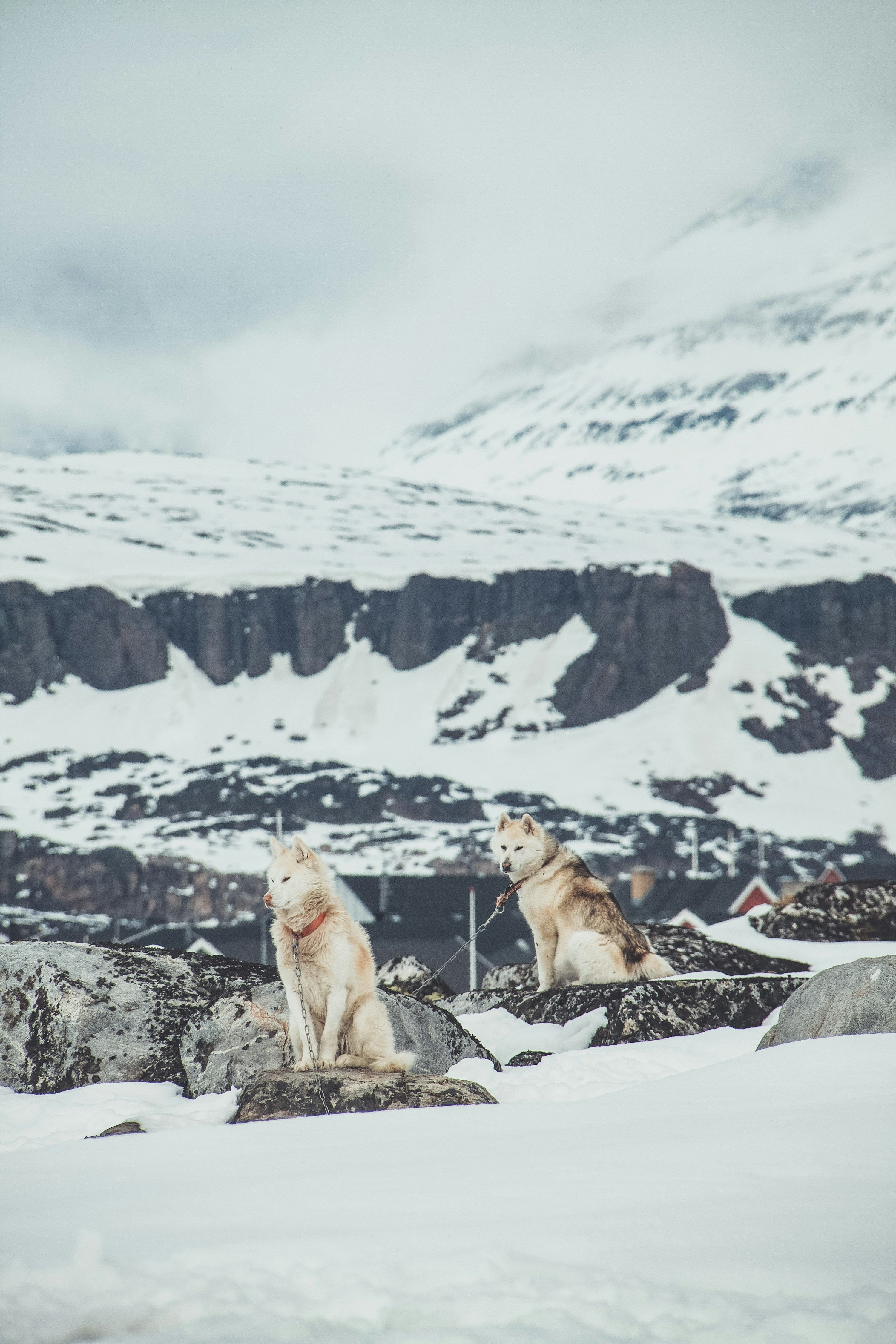 3000x4500 Inuit Picture. Download Free Image