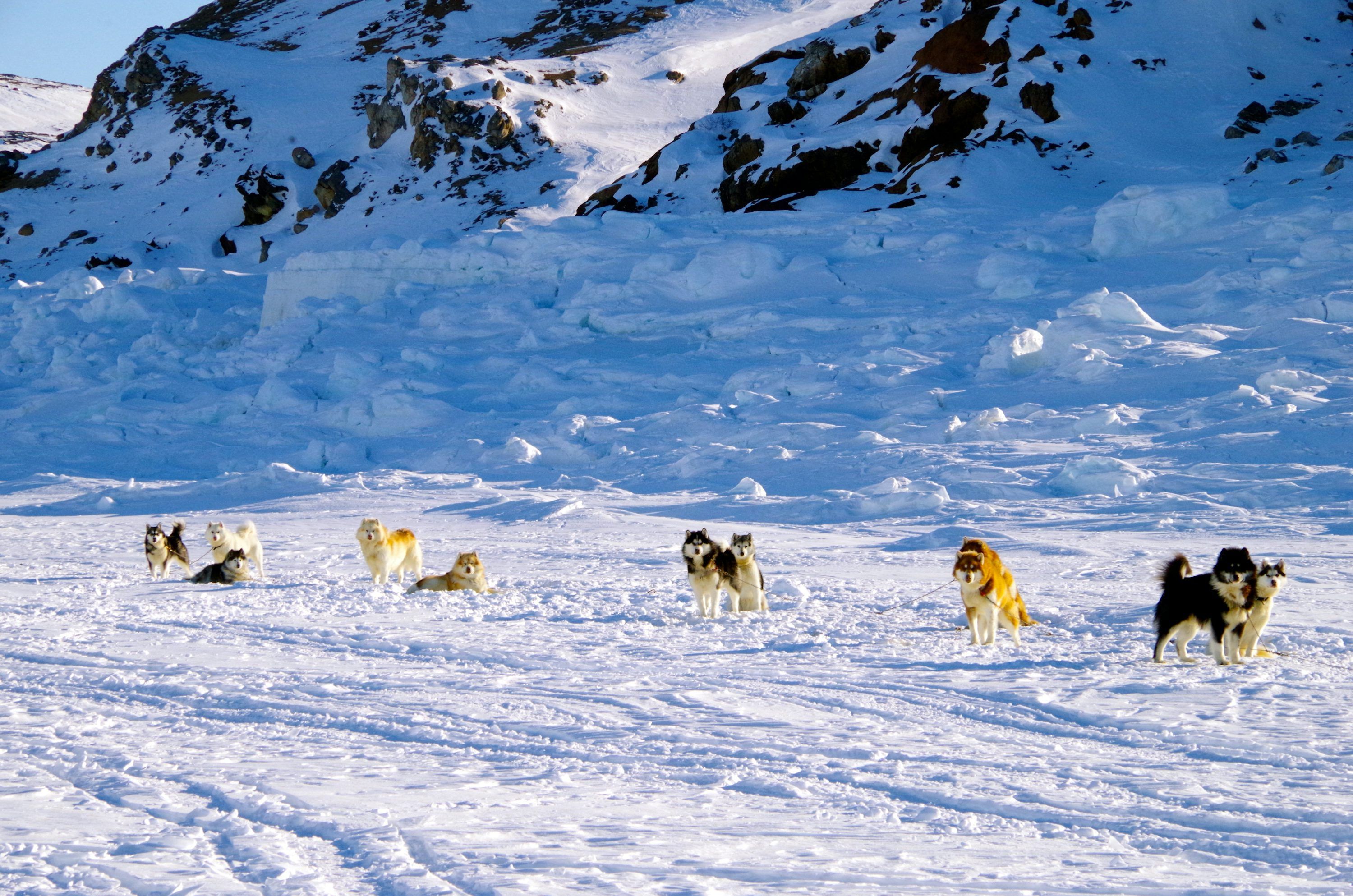 3000x1987 Inuit Picture. Download Free Image
