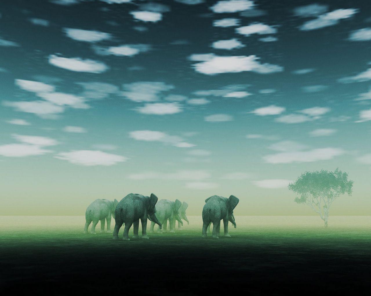 1280x1024 Download wallpaper 1280x1024 elephants, fog, mirage, desert