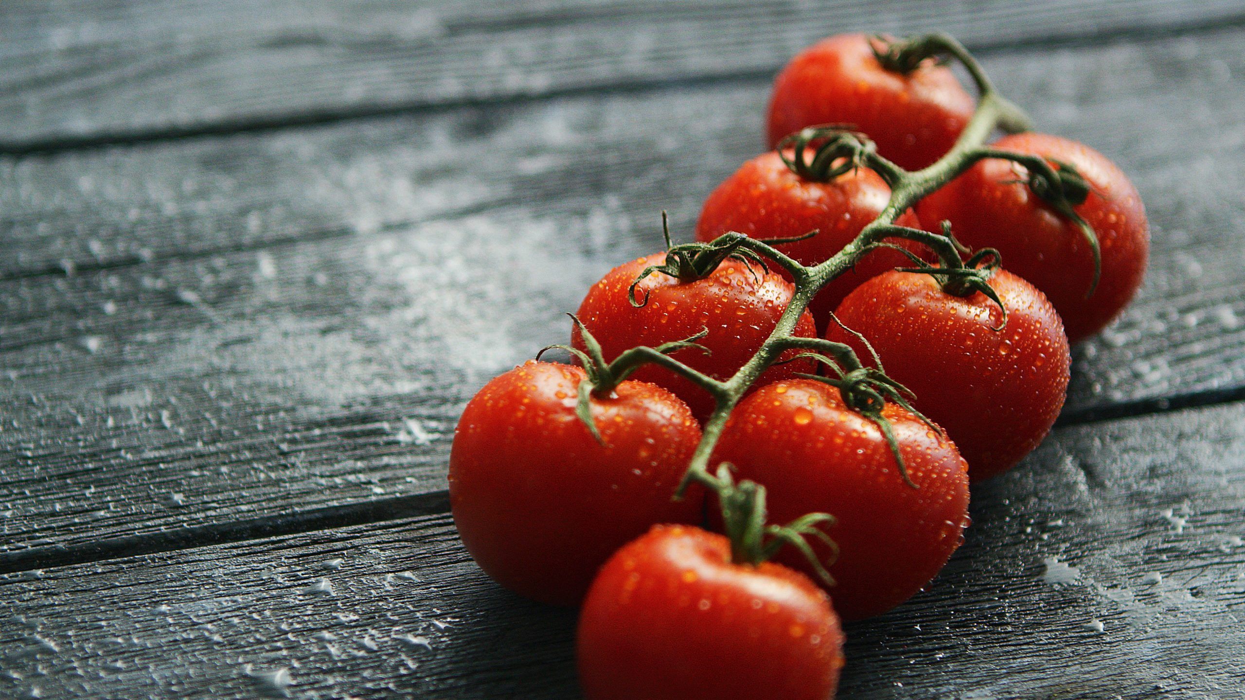 2560x1440 Grow Tomatoes in Your Backyard