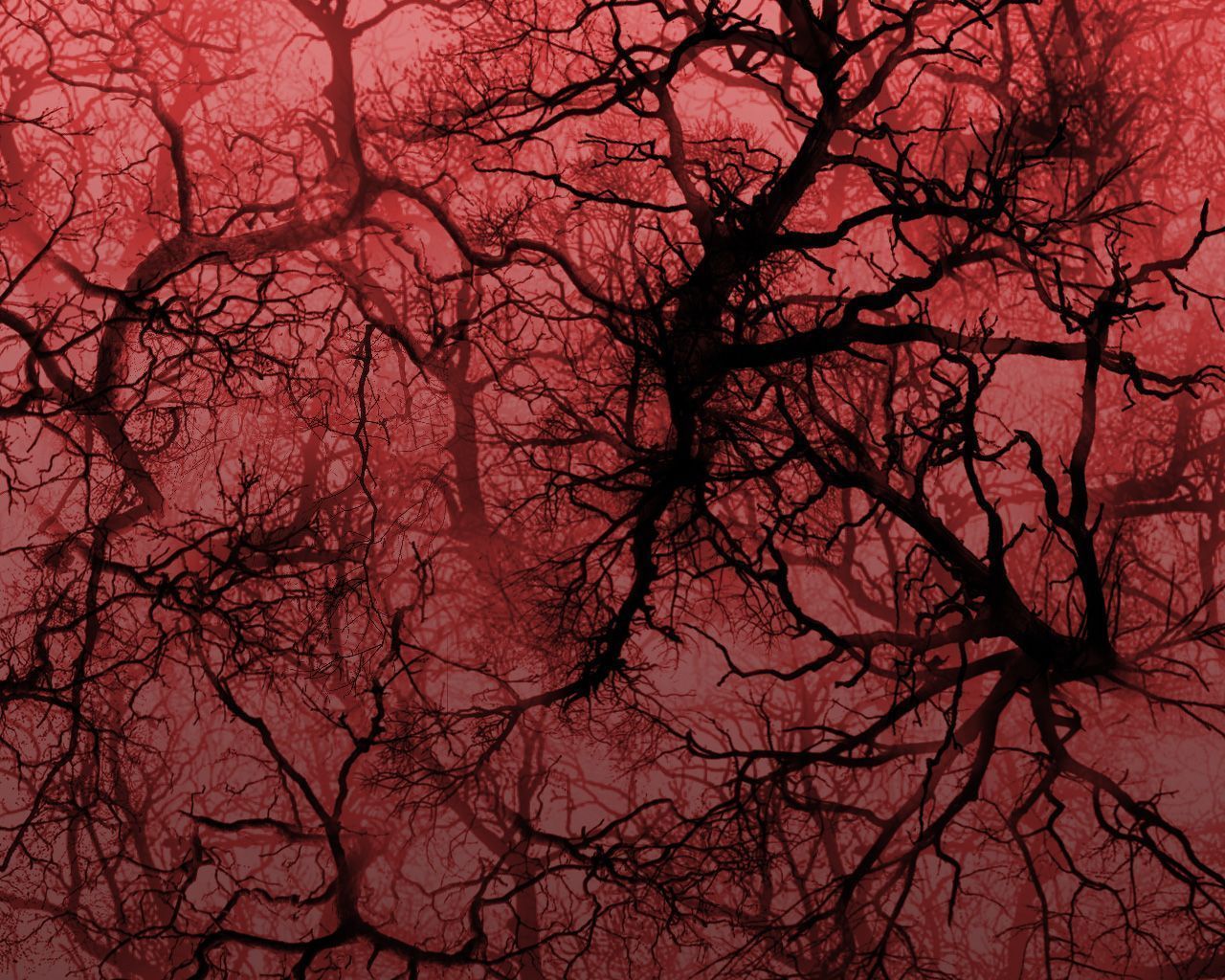 1280x1024 Blood Vessels Wallpaper