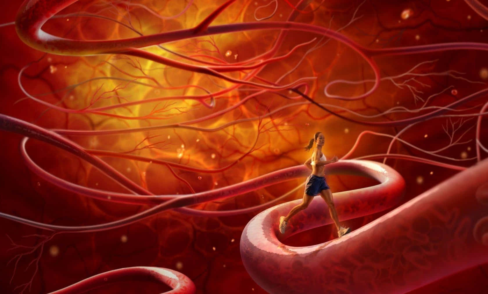1680x1014 Download Blood Vessel Health Picture