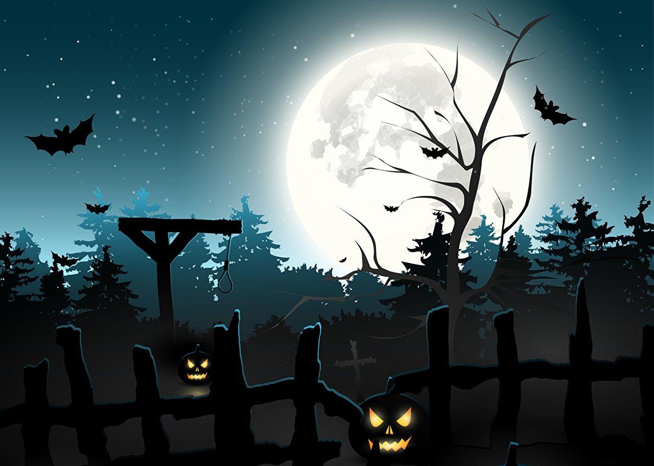 1280x911 Picture Bats Halloween Moon Fence night time Holidays Vector