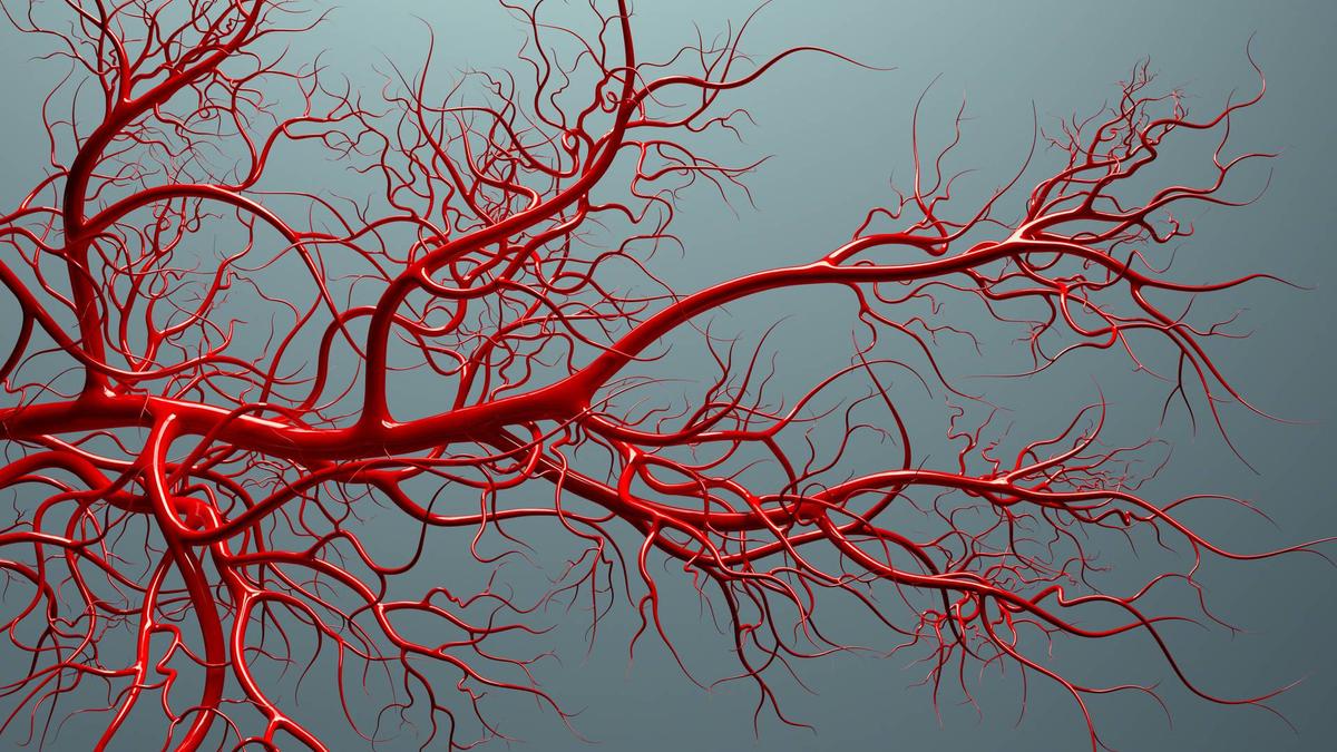 1200x675 Scientists bioprint functional blood