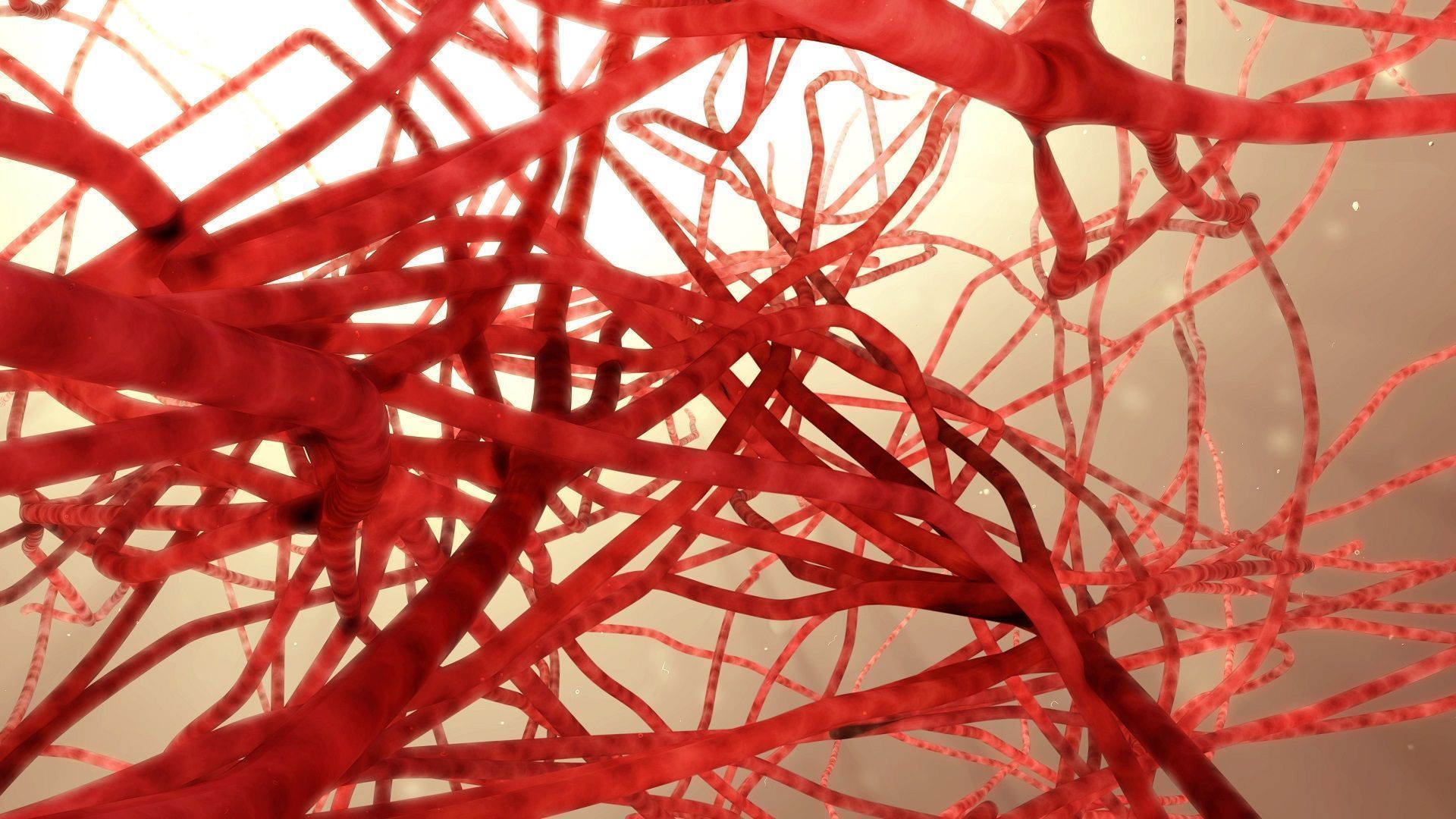 1920x1080 Blood Vessel Health