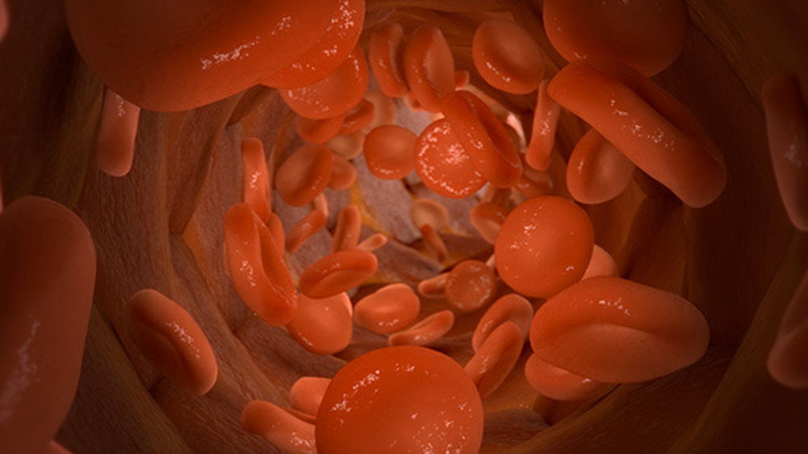 1600x900 Red Blood Cells in Blood Vessel