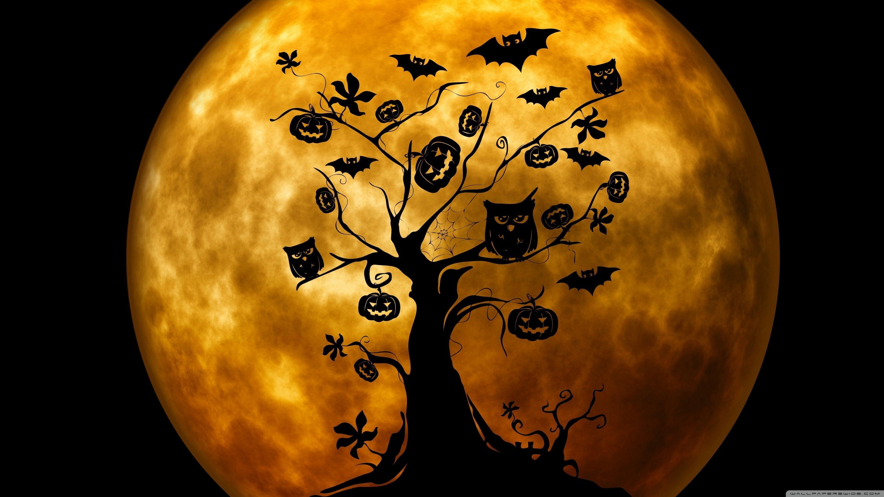 3554x1999 Halloween Bats 4K HD Desktop Wallpaper for • Dual Monitor