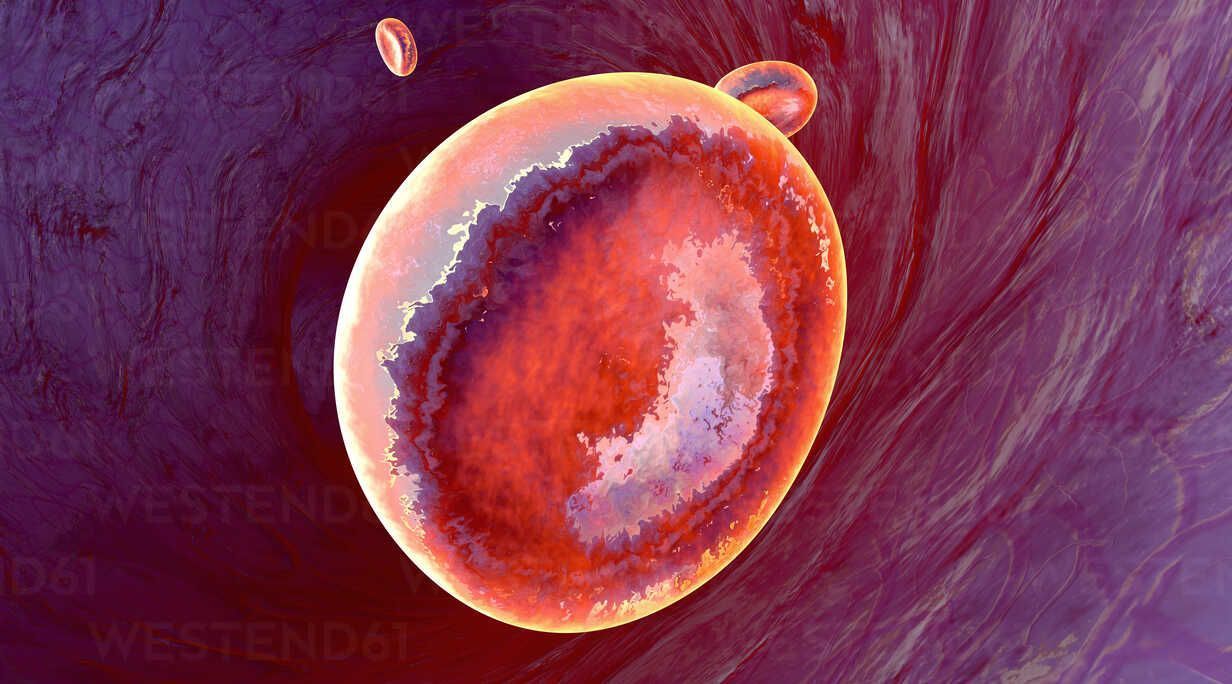 1232x684 blood vessel, 3D Rendering