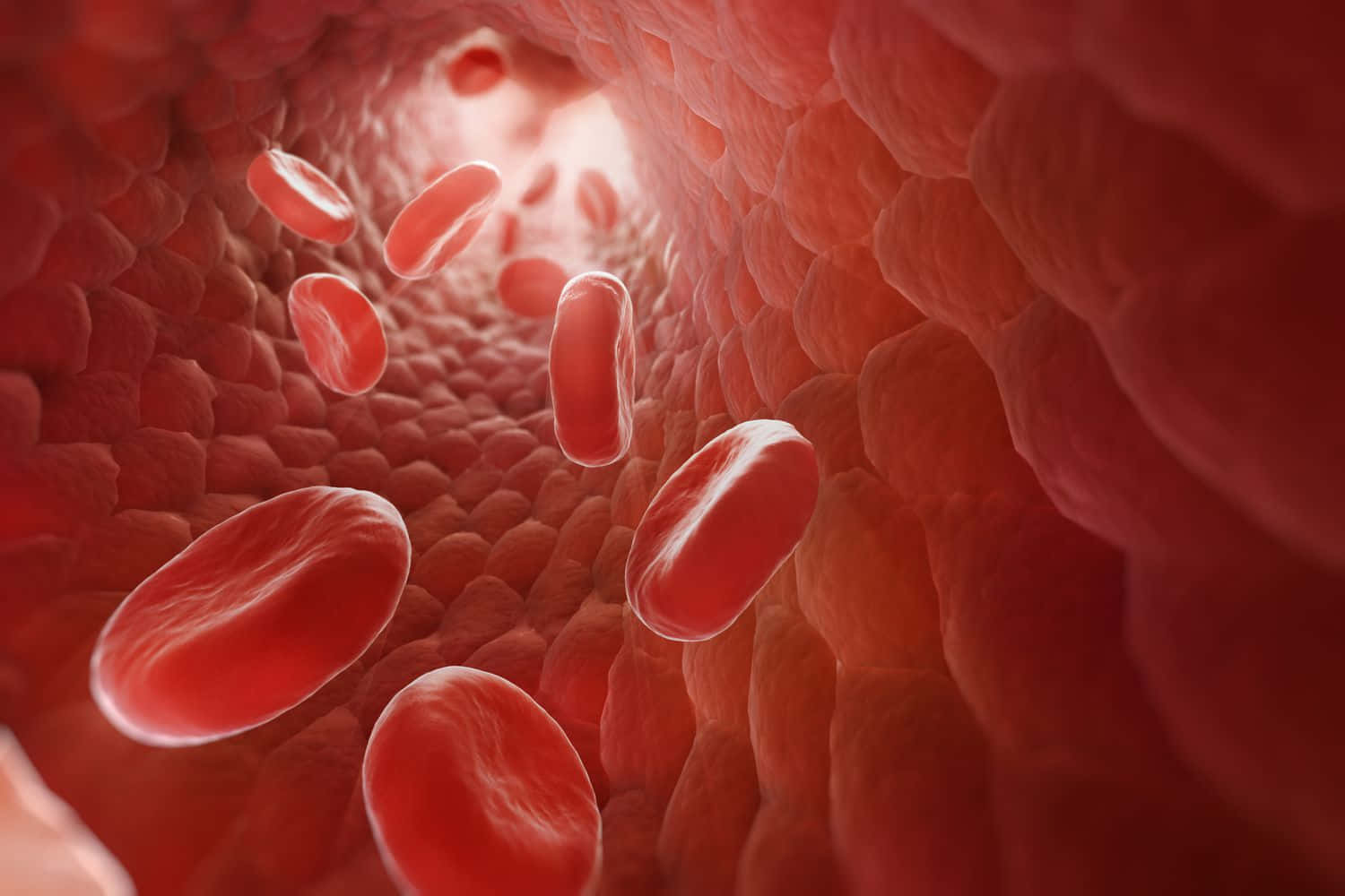1500x1000 Red Blood Cells in action Wallpaper