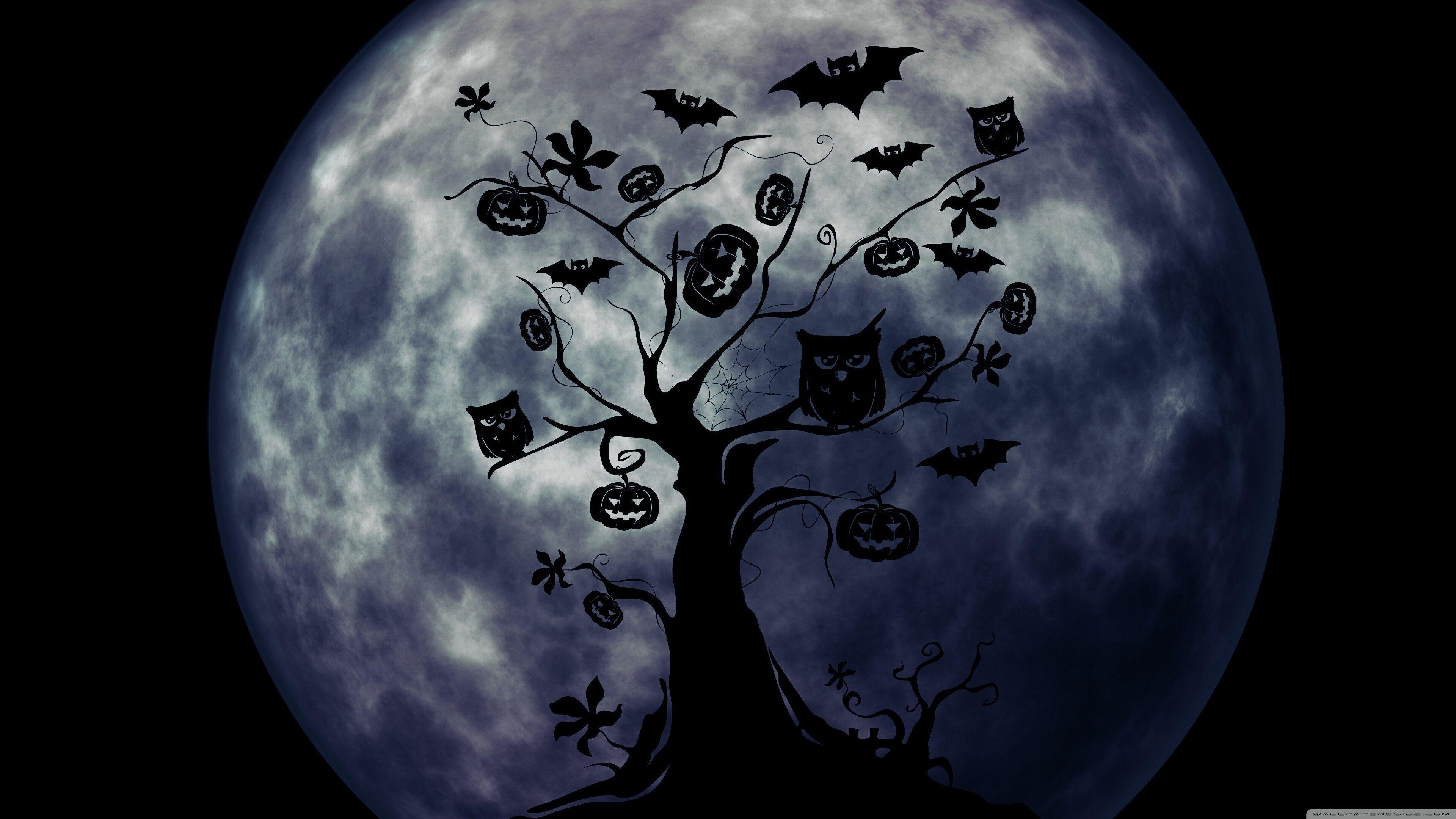 3840x2160 Halloween Owl Wallpaper