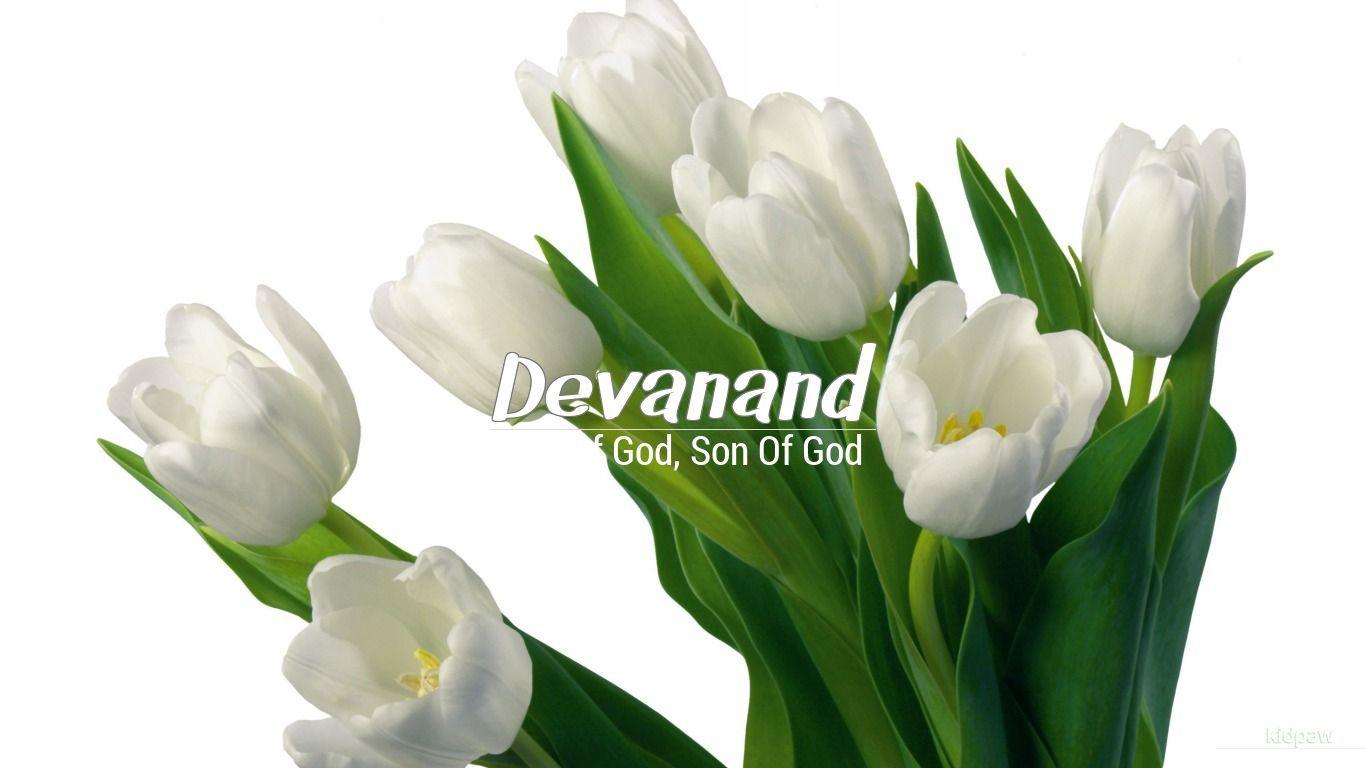 1366x768 Devanand 3D Name Wallpaper for Mobile, Write देवानंद