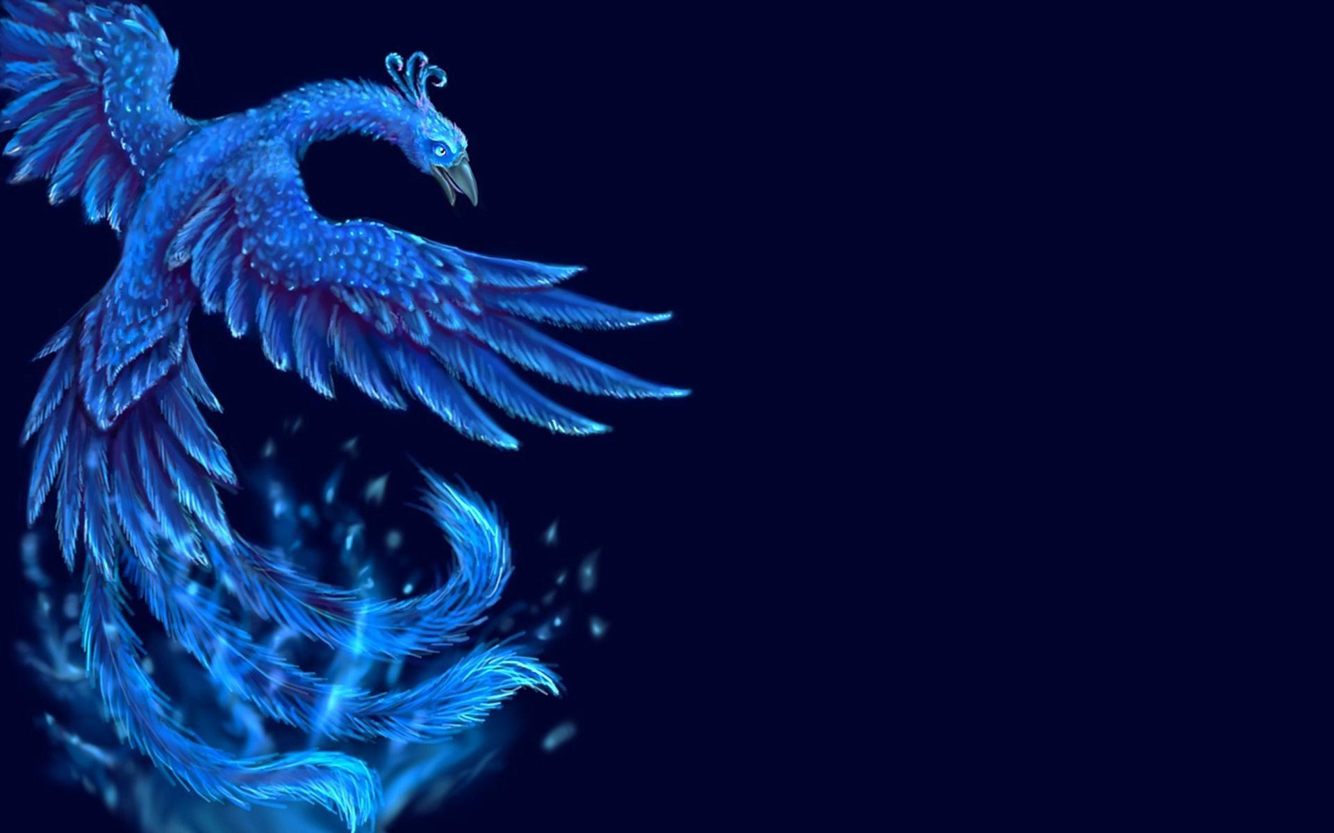 Dark Phoenix Bird Wallpaper Free Download  FunSaaz