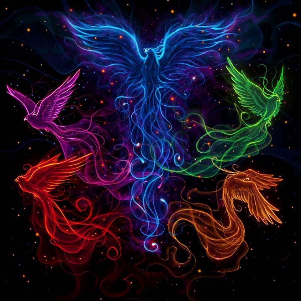 Beautiful Phoenix Wallpapers - Top Free Beautiful Phoenix Backgrounds