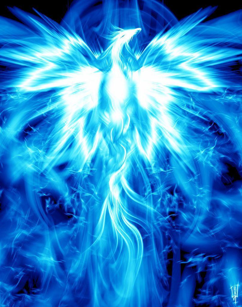 Blue Phoenix Wallpapers - Top Free Blue Phoenix Backgrounds