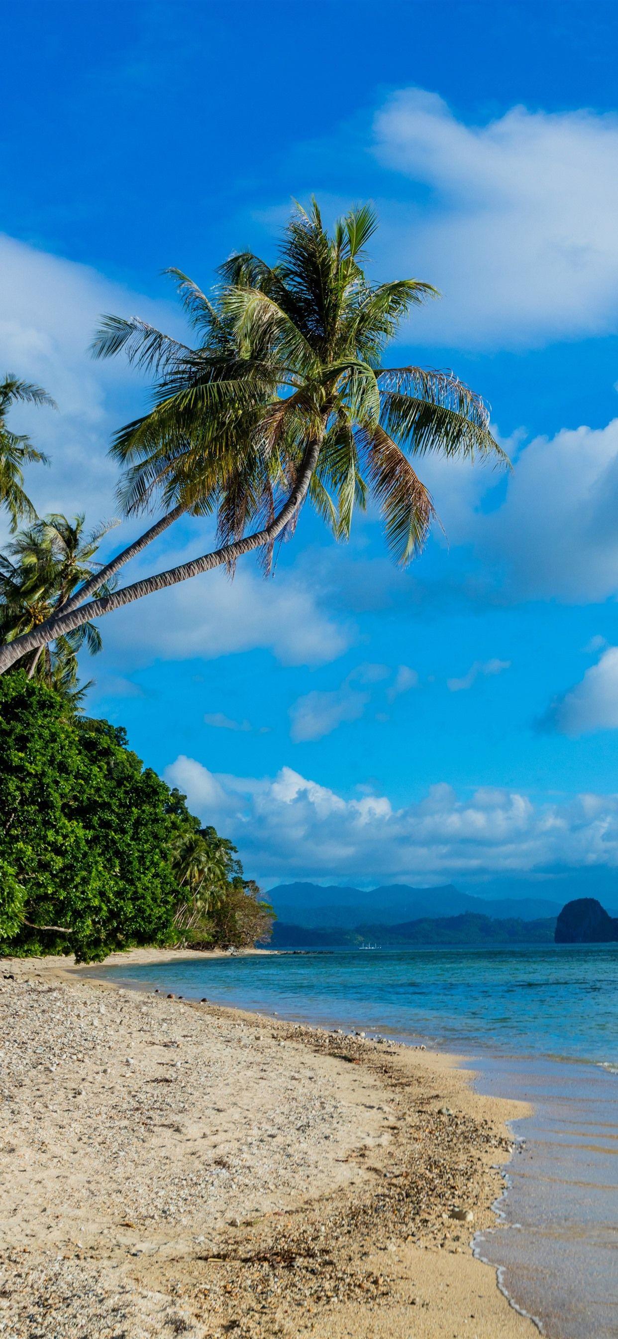 1242x2688 Philippines, bãi biển, cây cọ, núi, biển 1242x2688