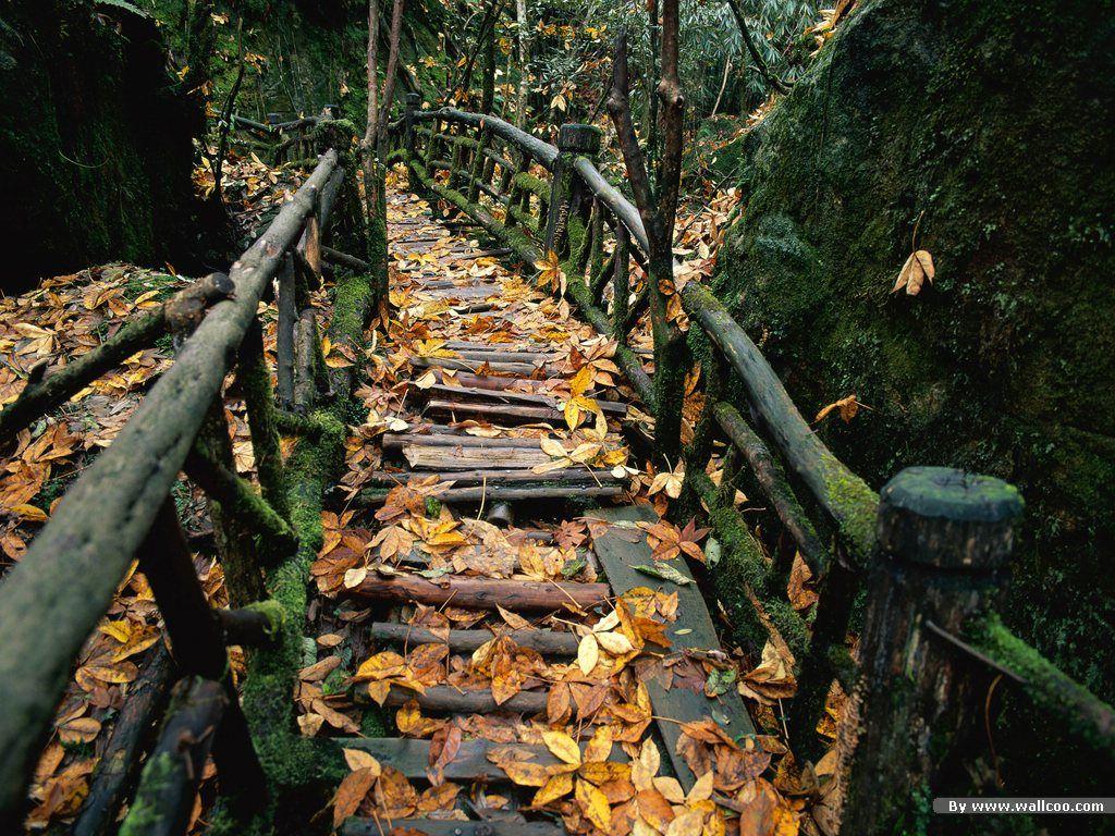 1024x768 China Travel : China Autumn Tour of Fall Colors 1024x768 NO