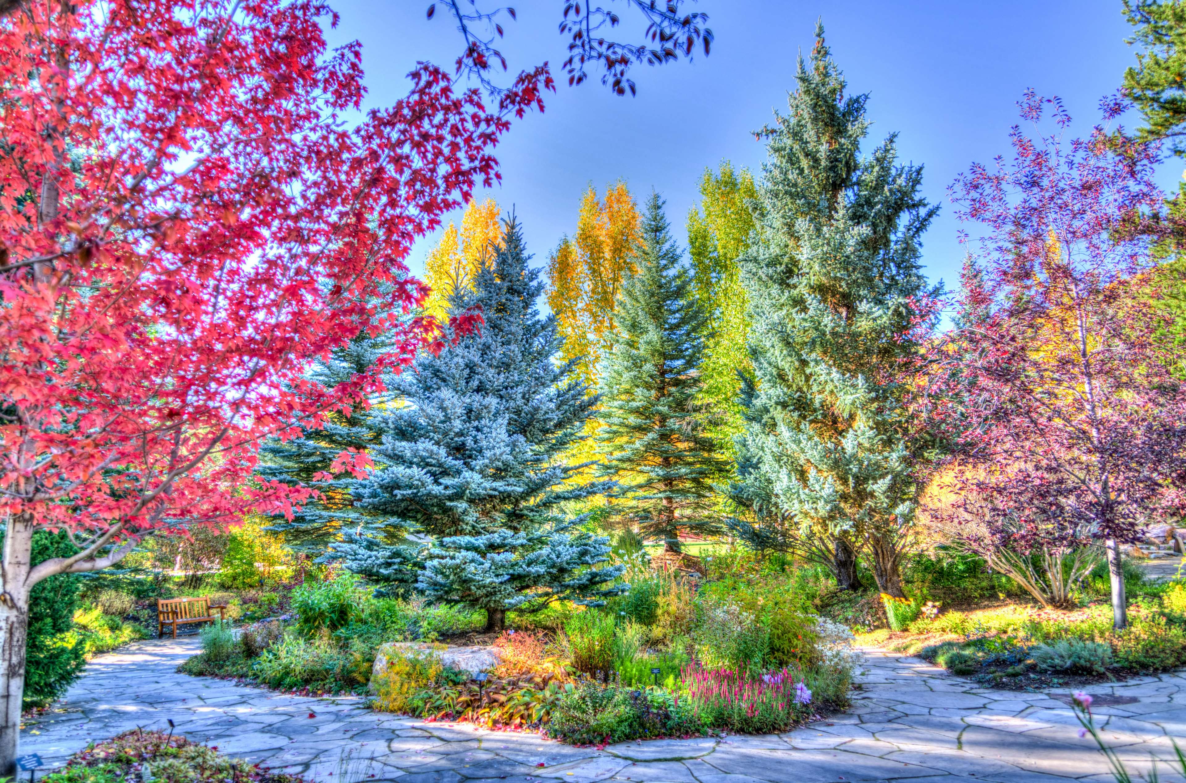 3840x2535 autumn, autumnal, colorado, fall, flora, foliage
