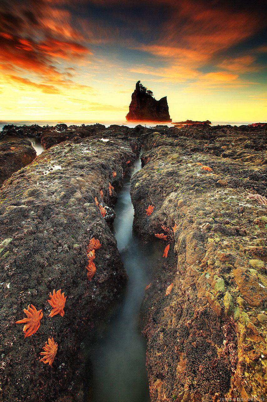 853x1280 Mobile HD Wallpaper